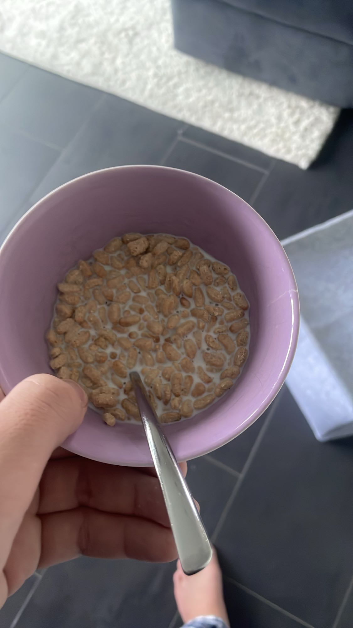 Ontbijtgranen met melk