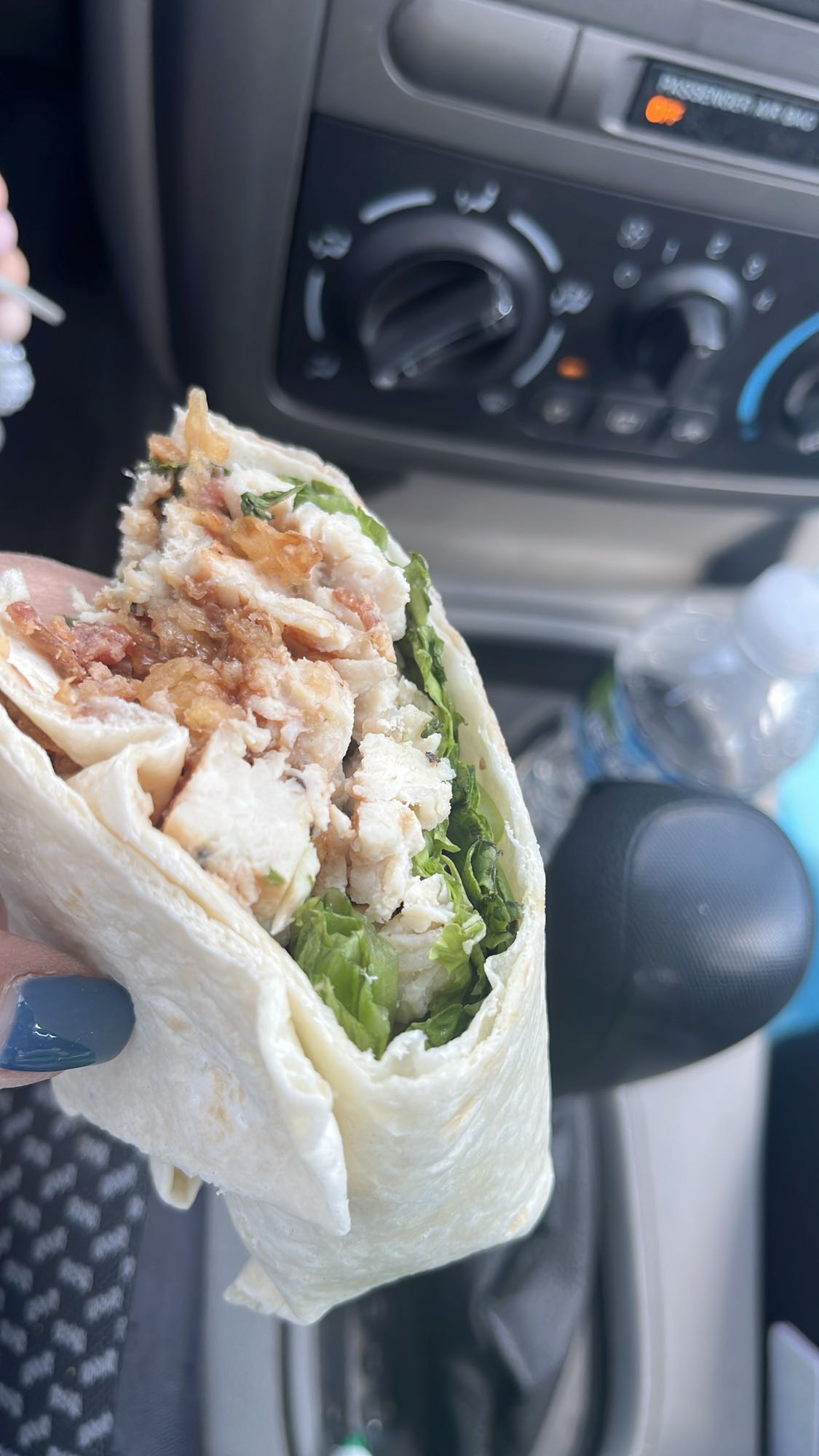 Chicken Wrap