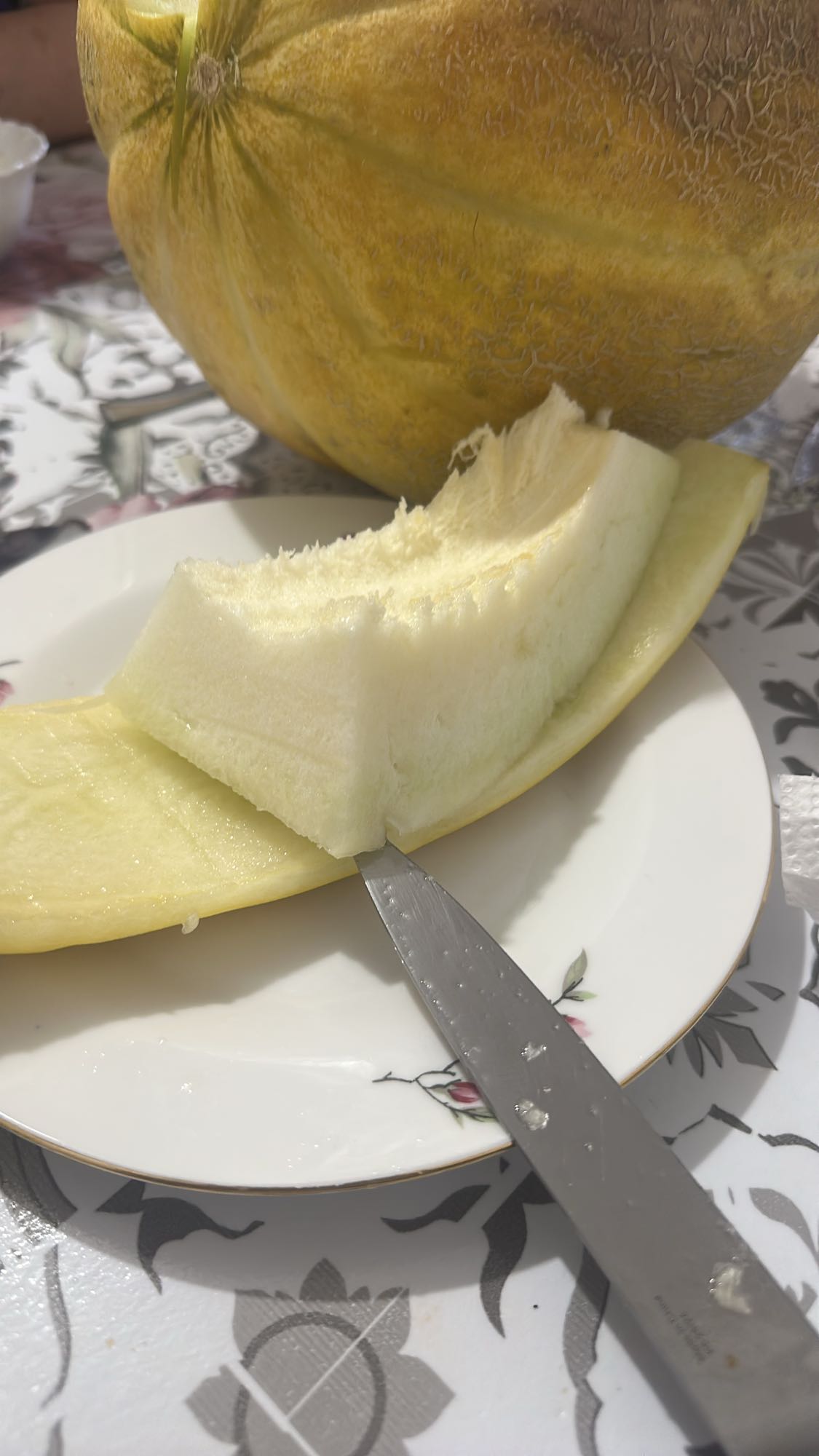 Felie de pepene galben