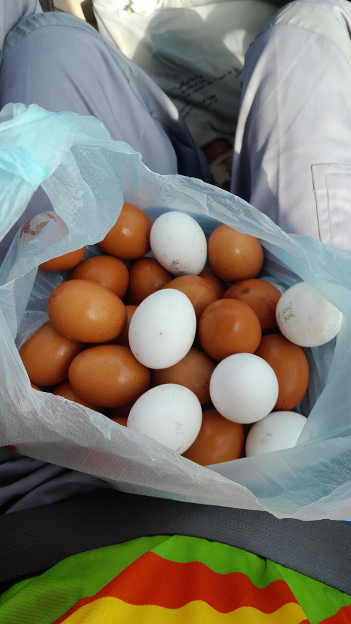 Bag of raw eggs