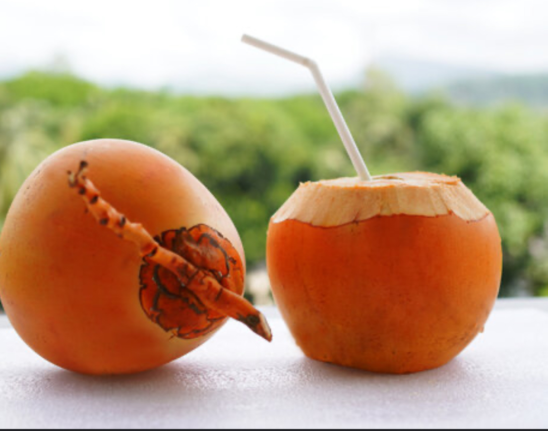 Fresh orange coconut water