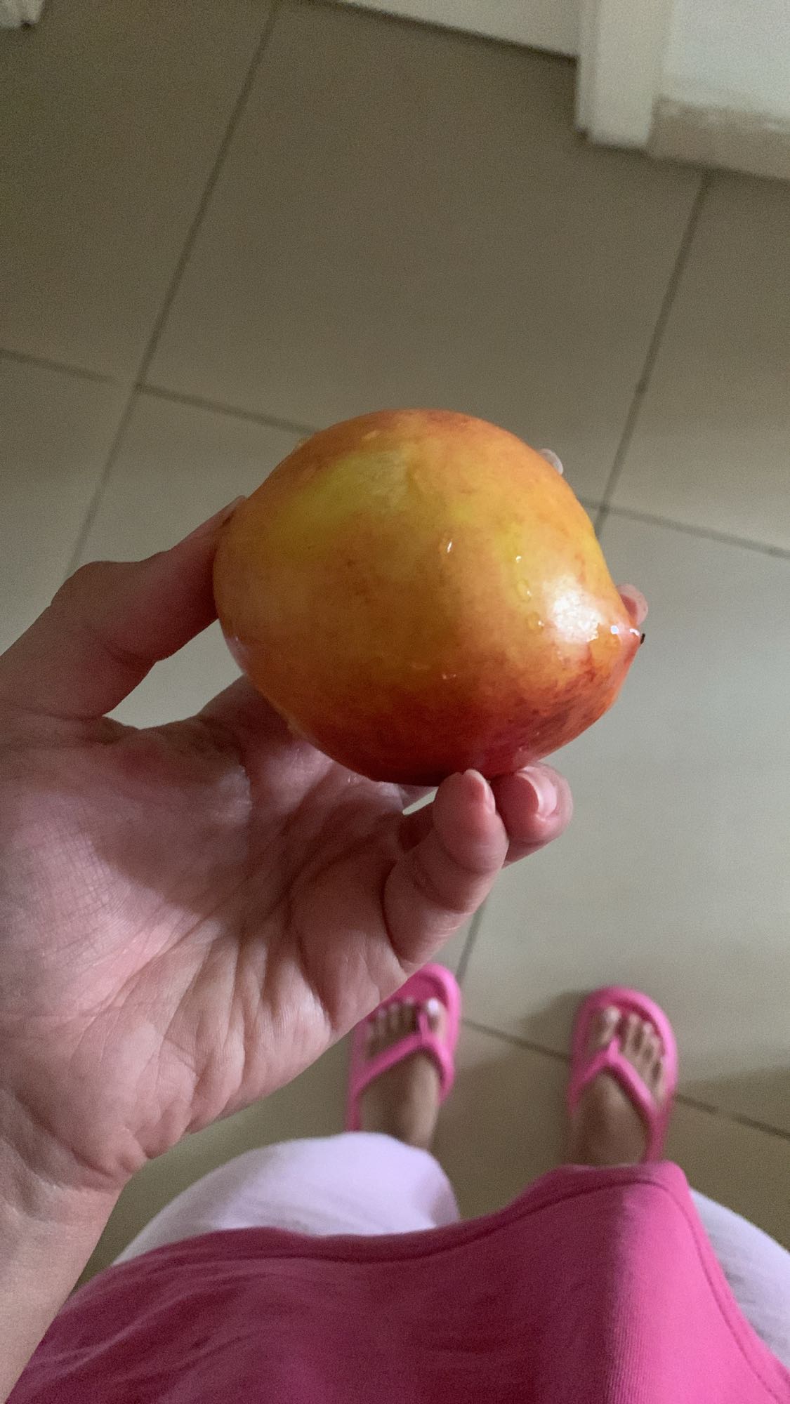 Fresh nectarine