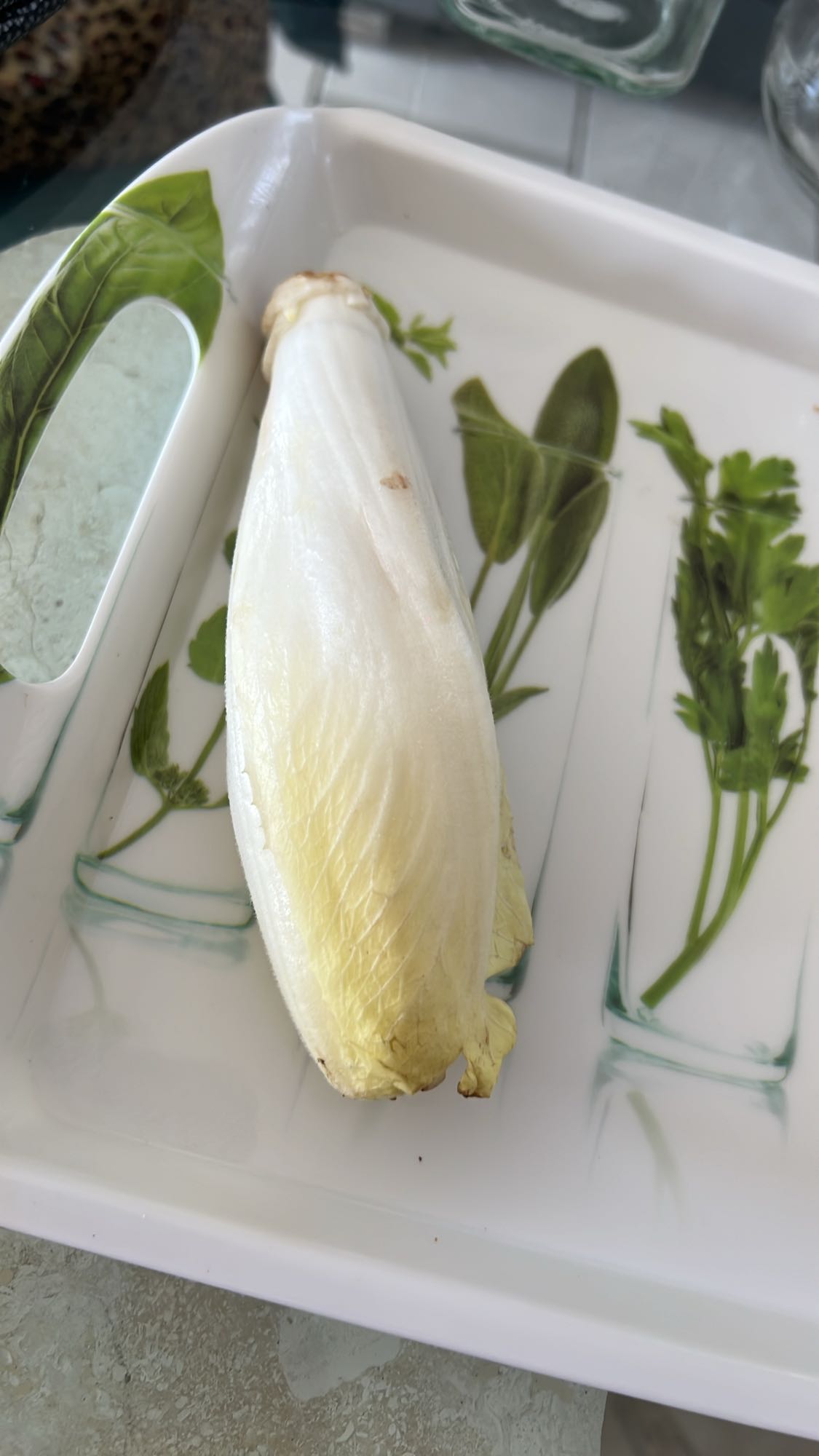 Endive fraîche