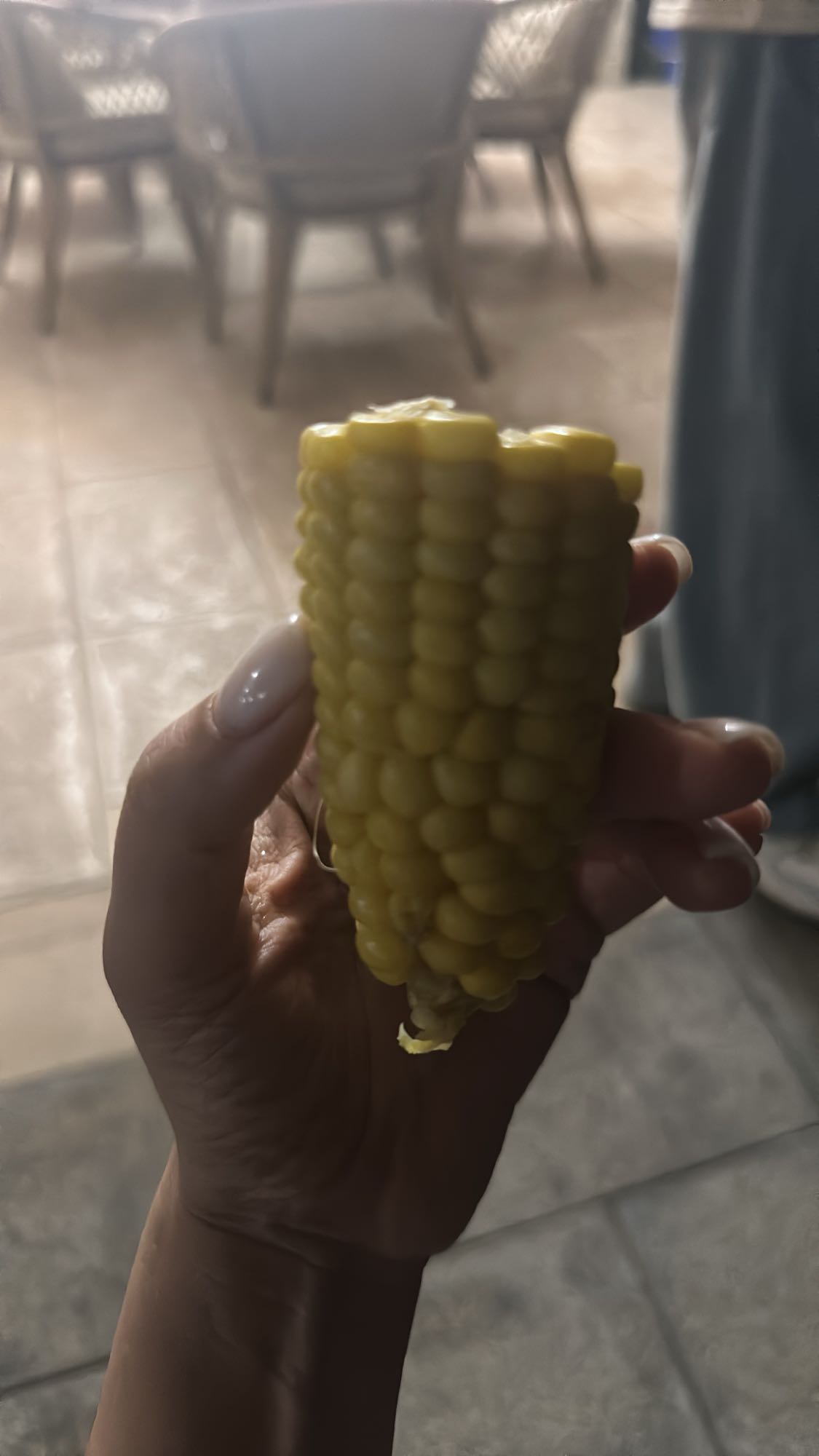 Boiled corn on the cob