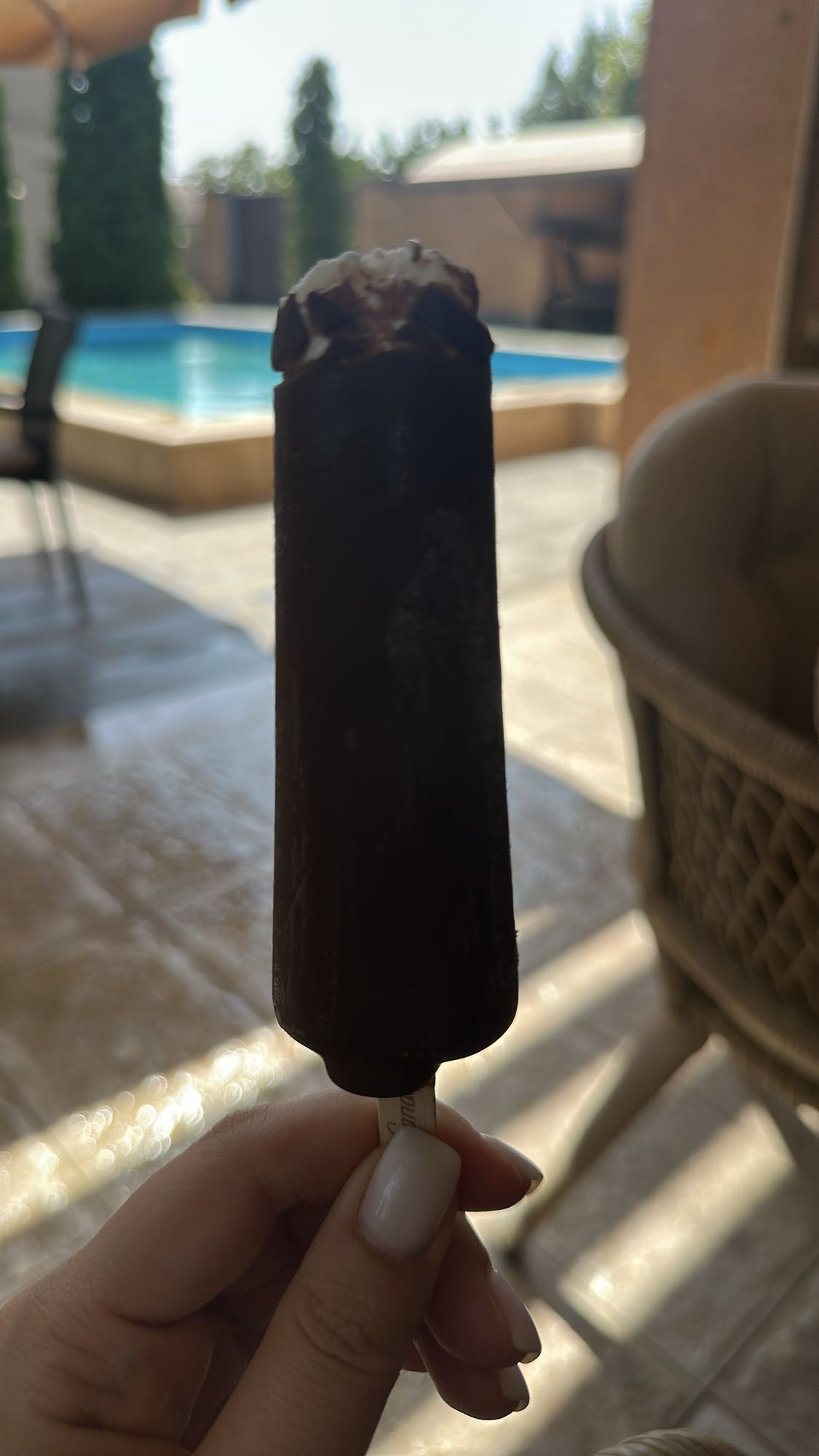 Chocolate ice cream bar