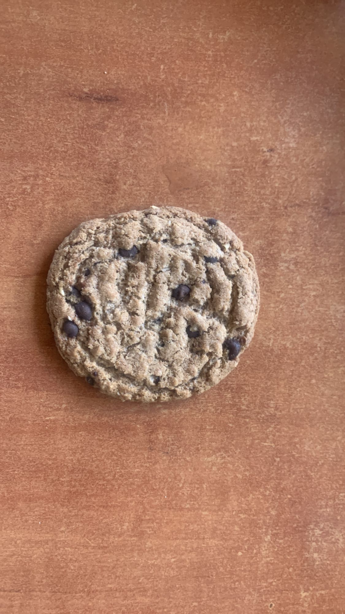 Chocolate Chip Cookie