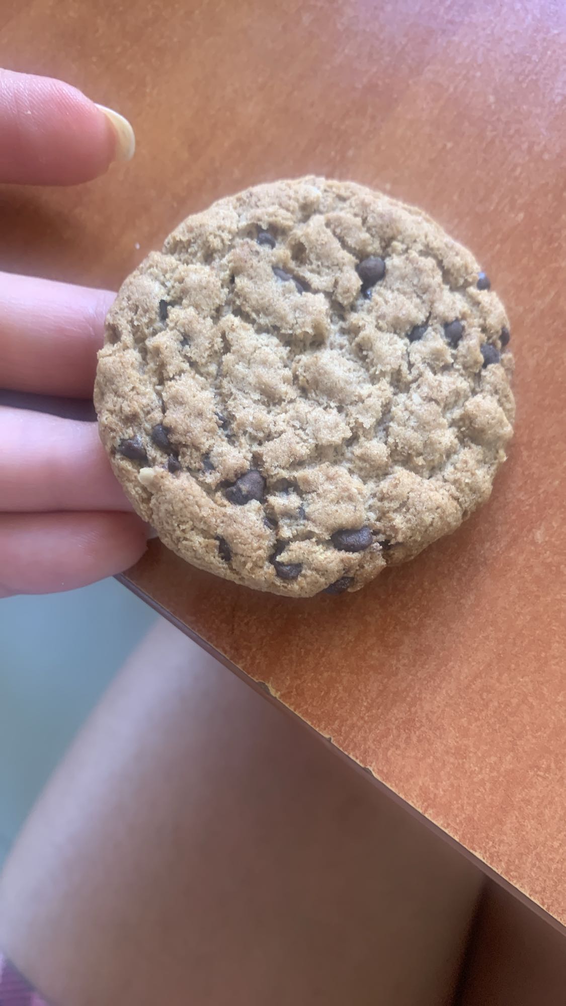 Chocolate chip cookie