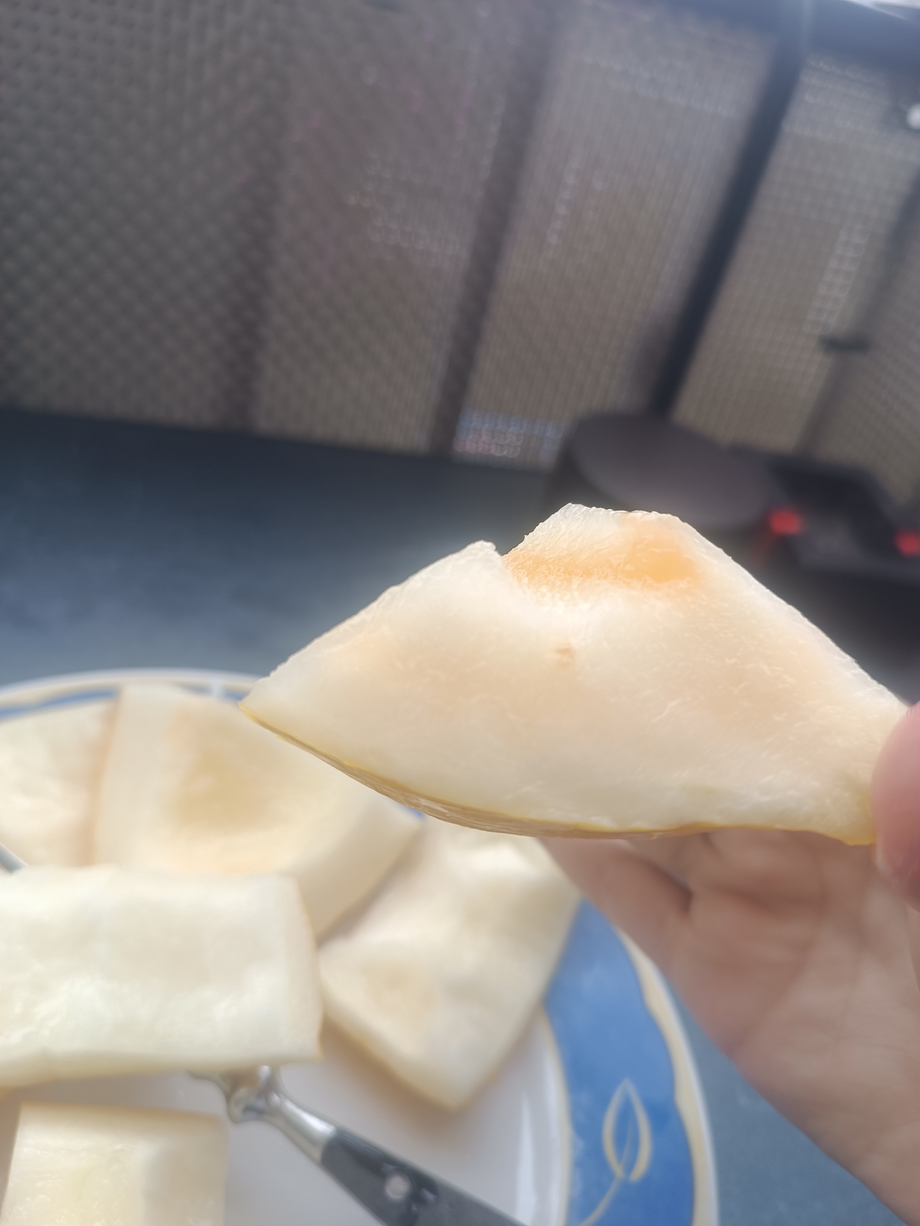 Sliced melon pieces