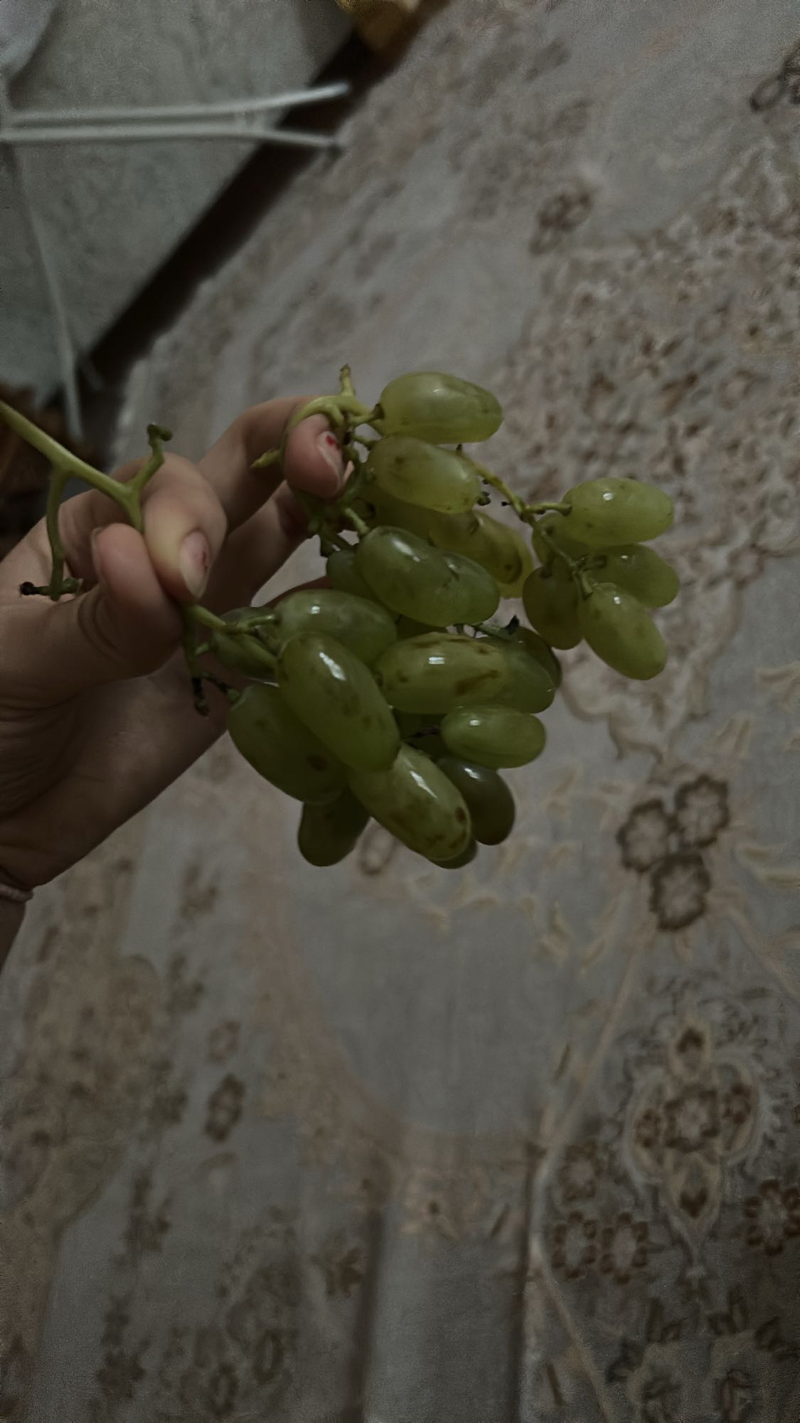 зелёный виноград