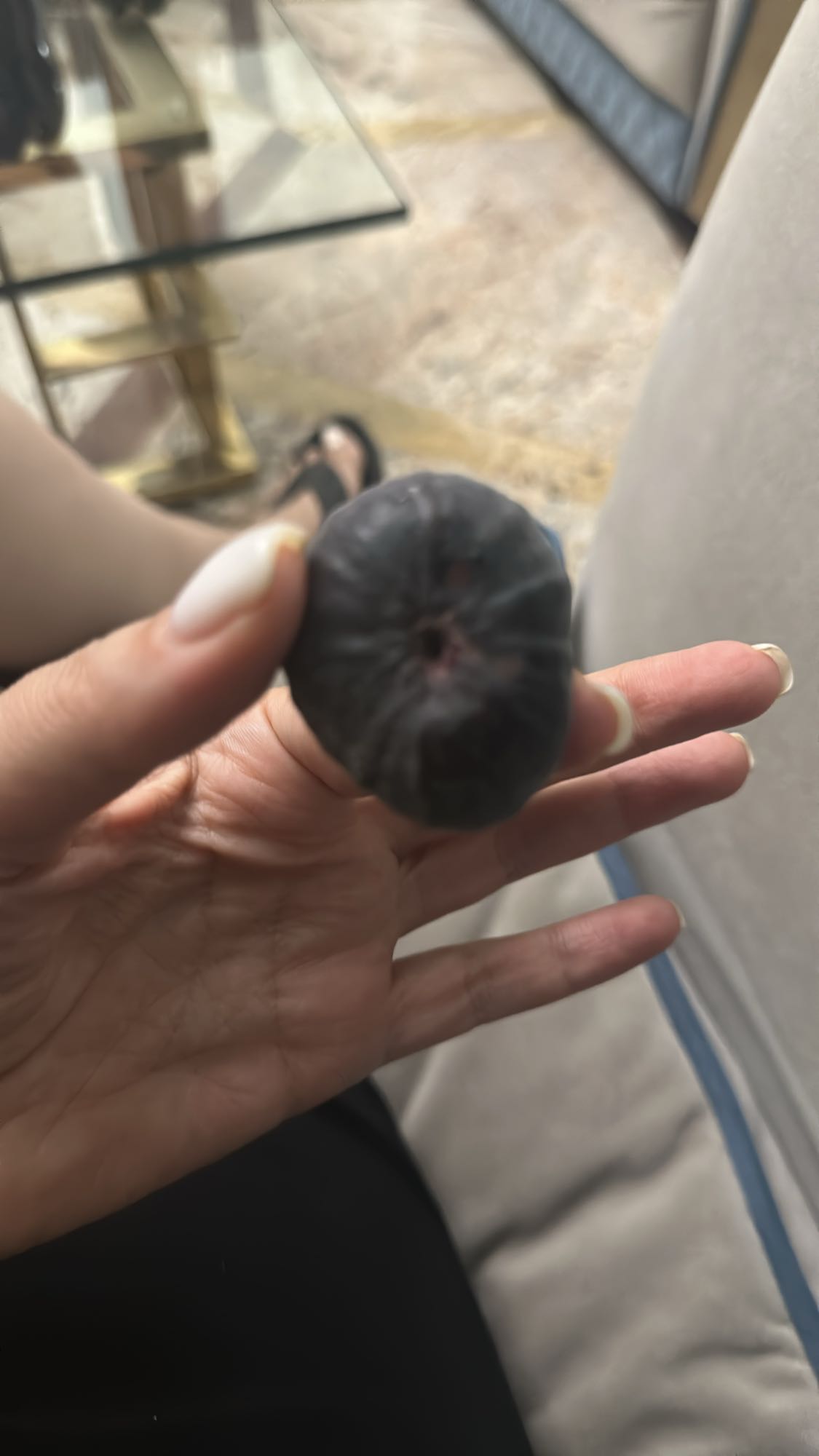 Fresh Black Fig