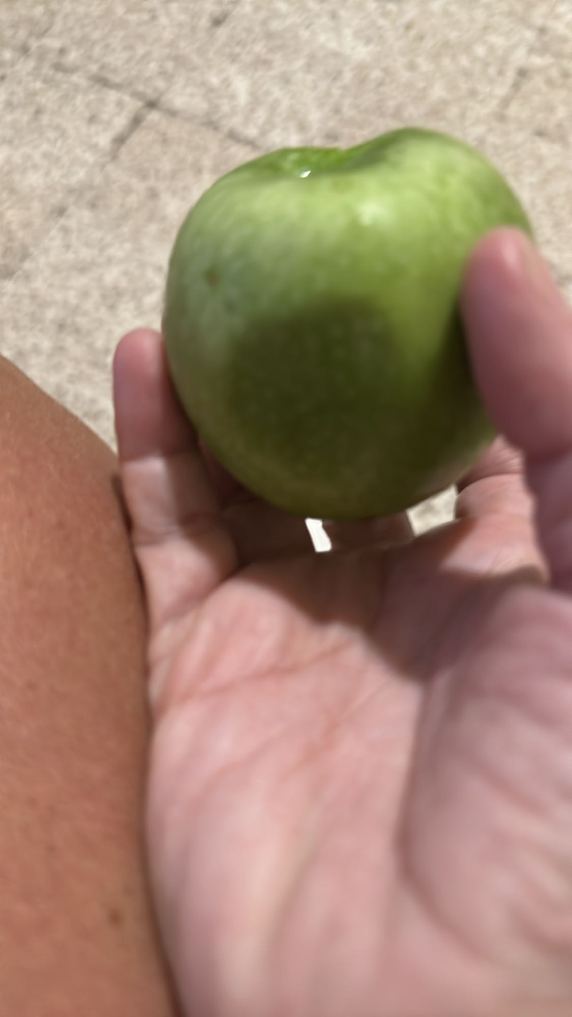 Green Apple Snack