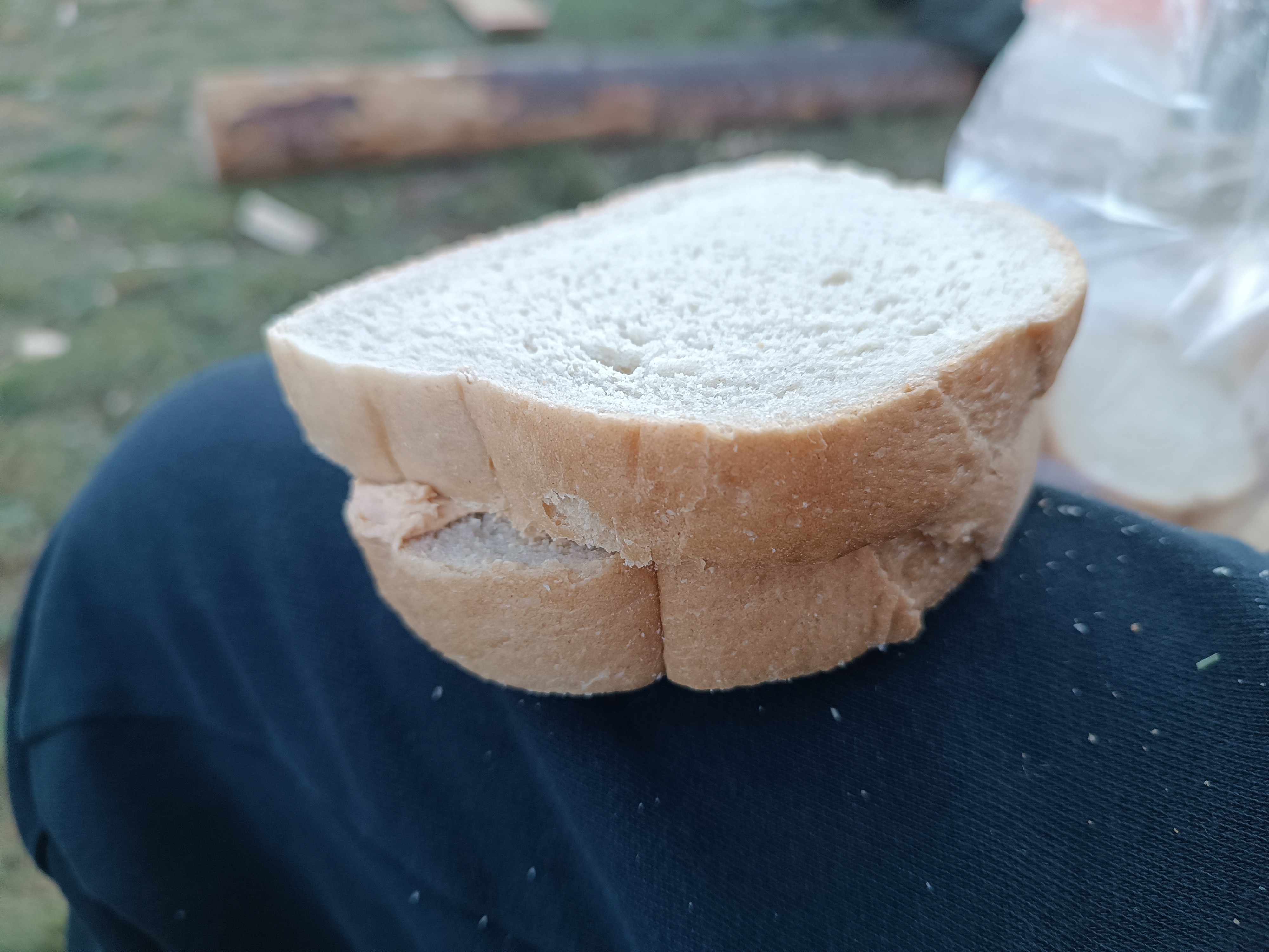 Simple white bread sandwich