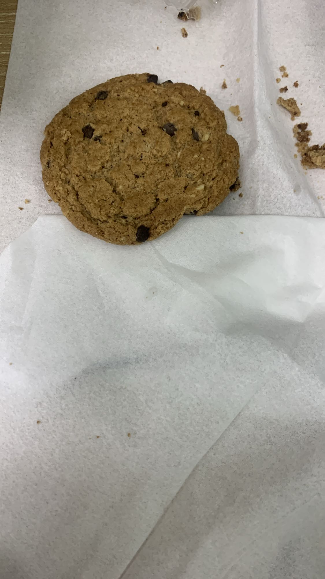 Chocolate chip cookie