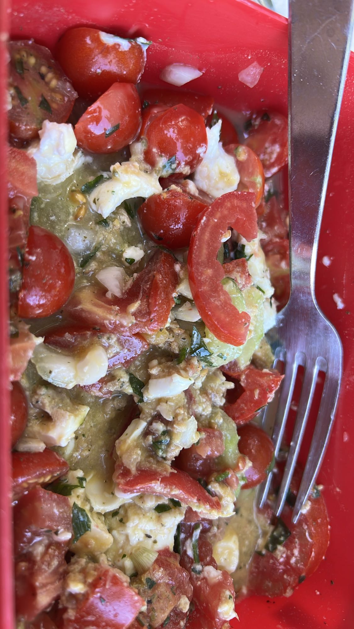 Salade tomate mozzarella