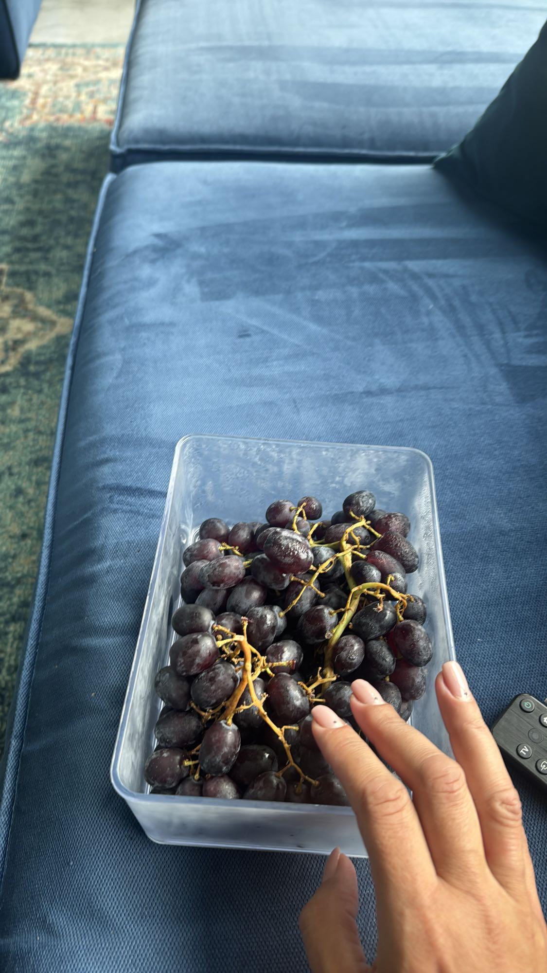 Czarne winogrona w pudełku