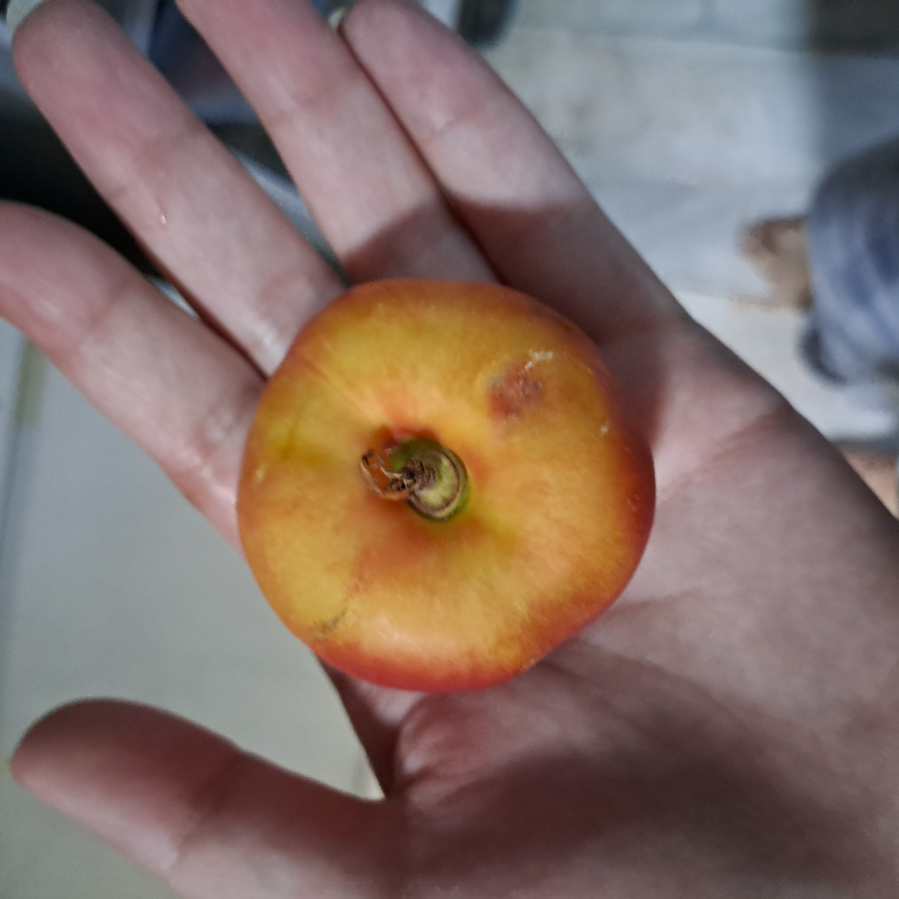 Small apple snack