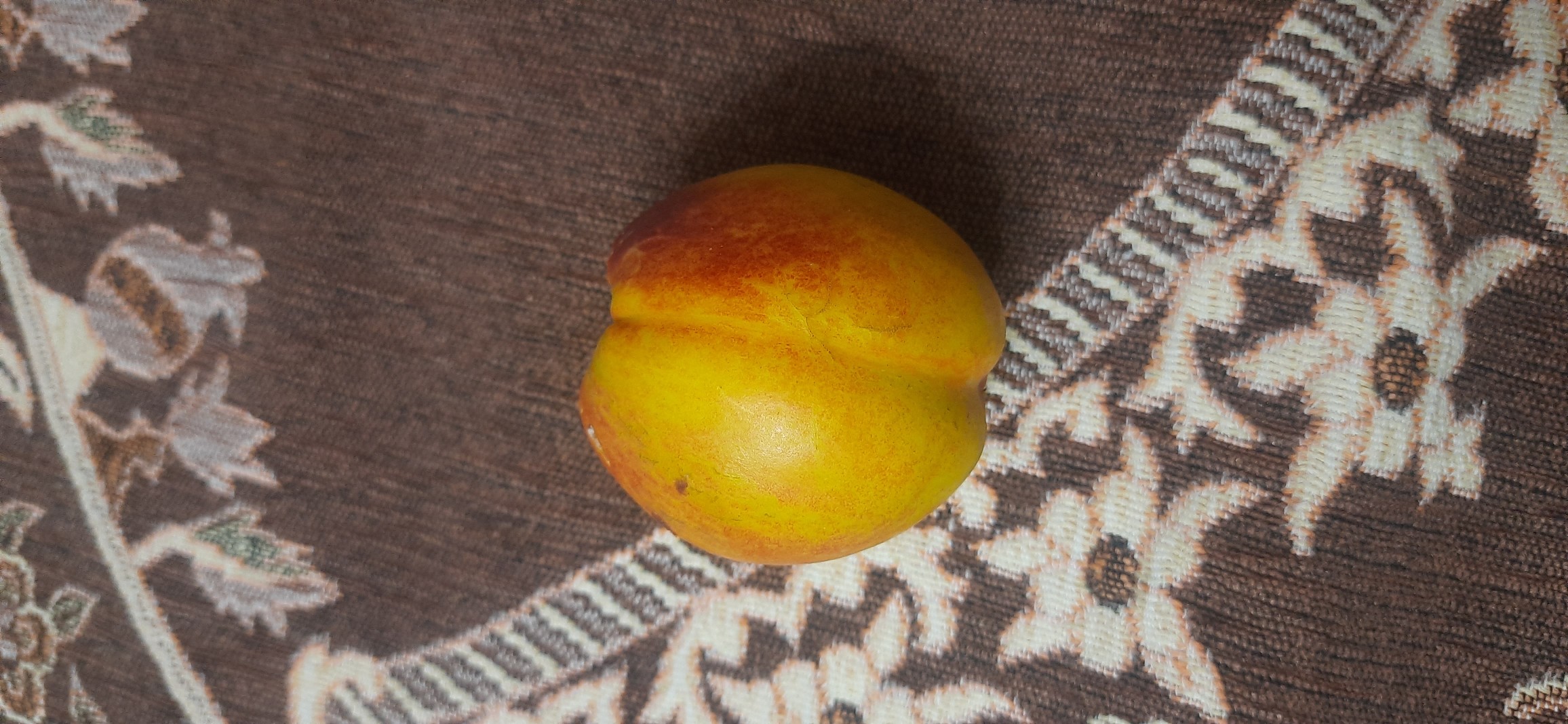 Fresh nectarine