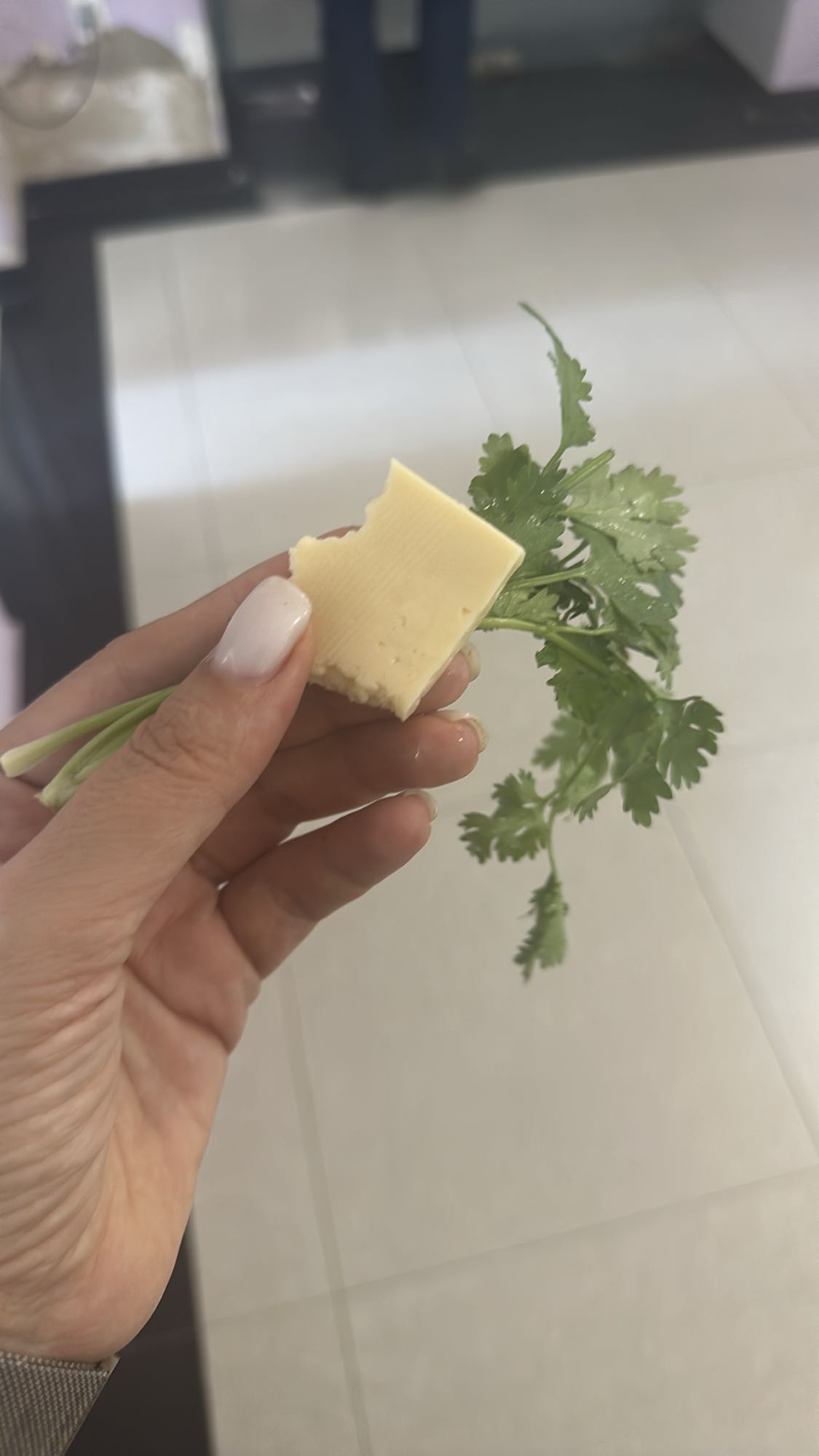 Cheese and Cilantro Snack