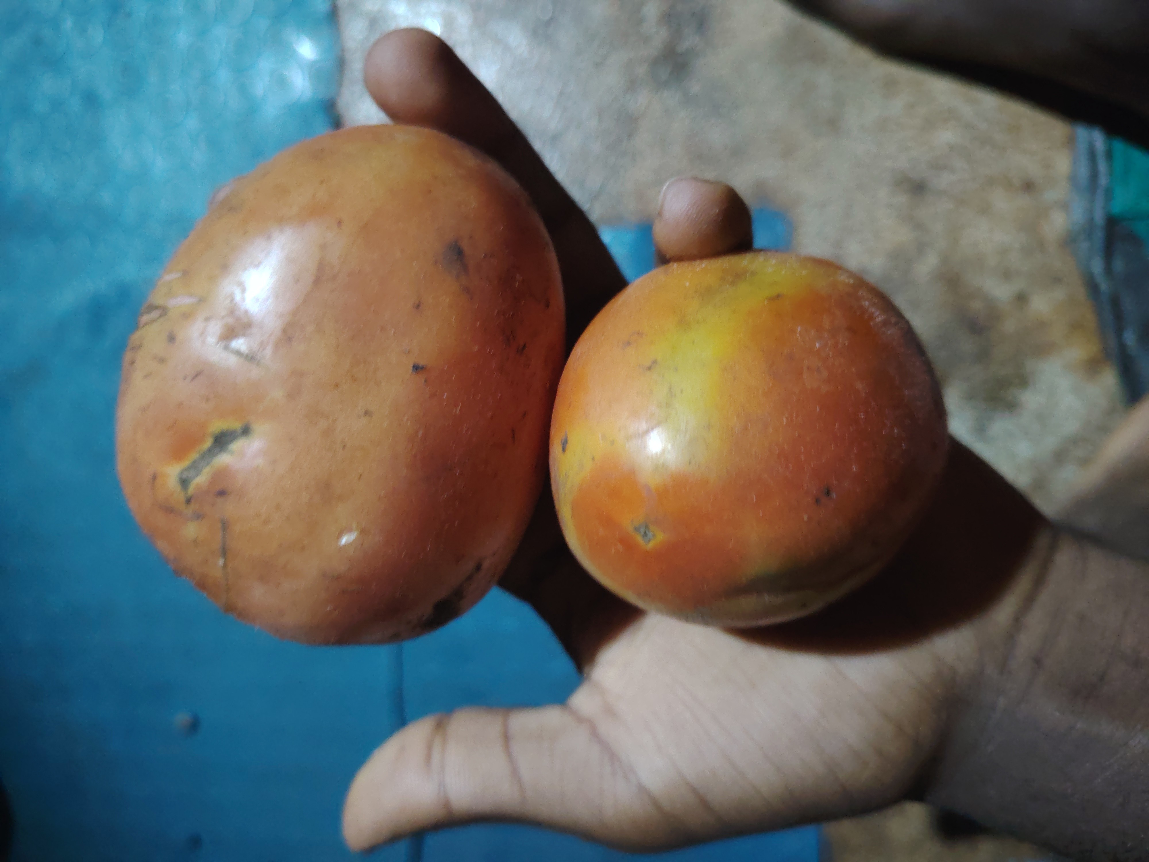 Fresh African Mangoes