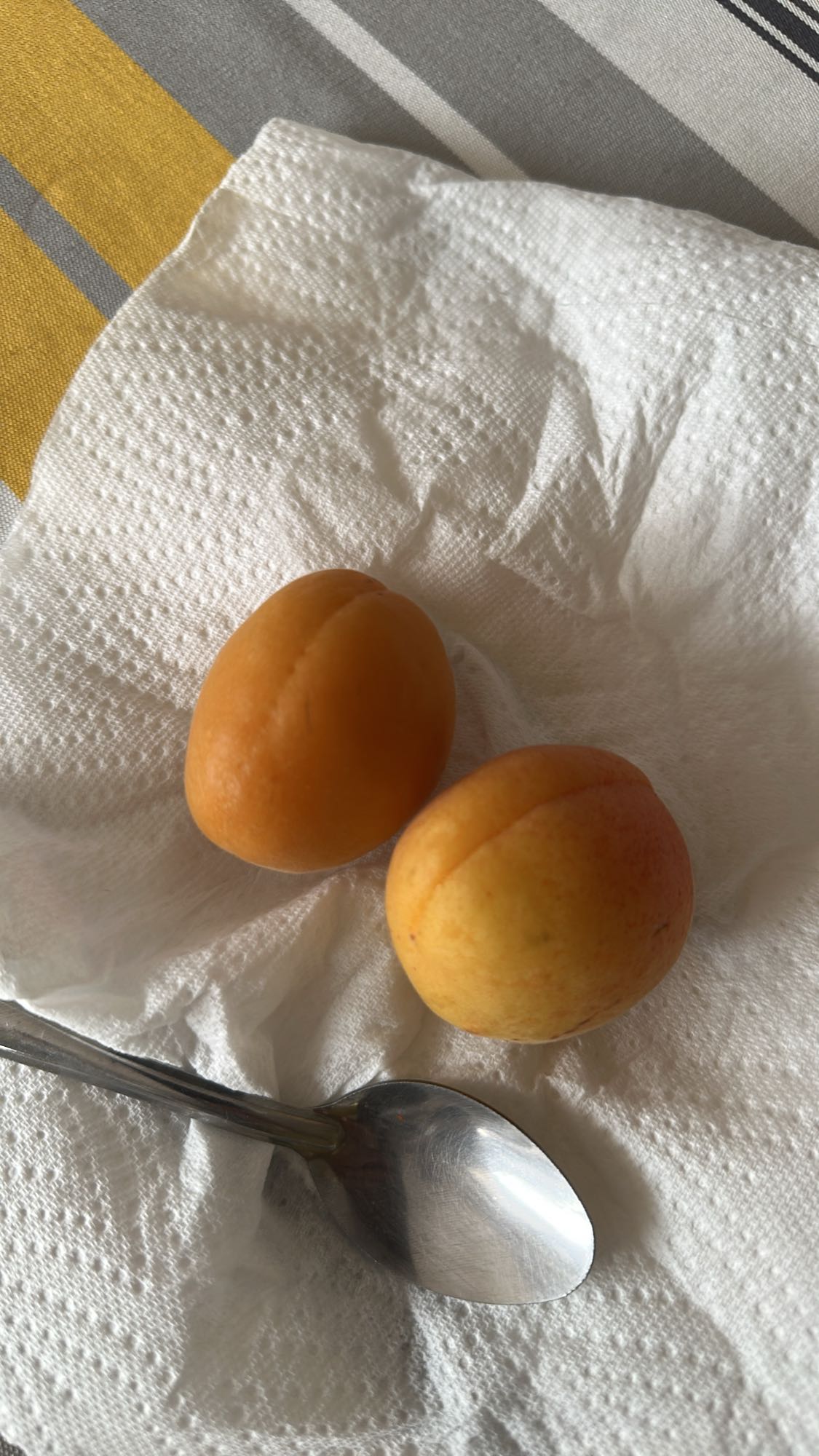 Fresh Apricots Snack