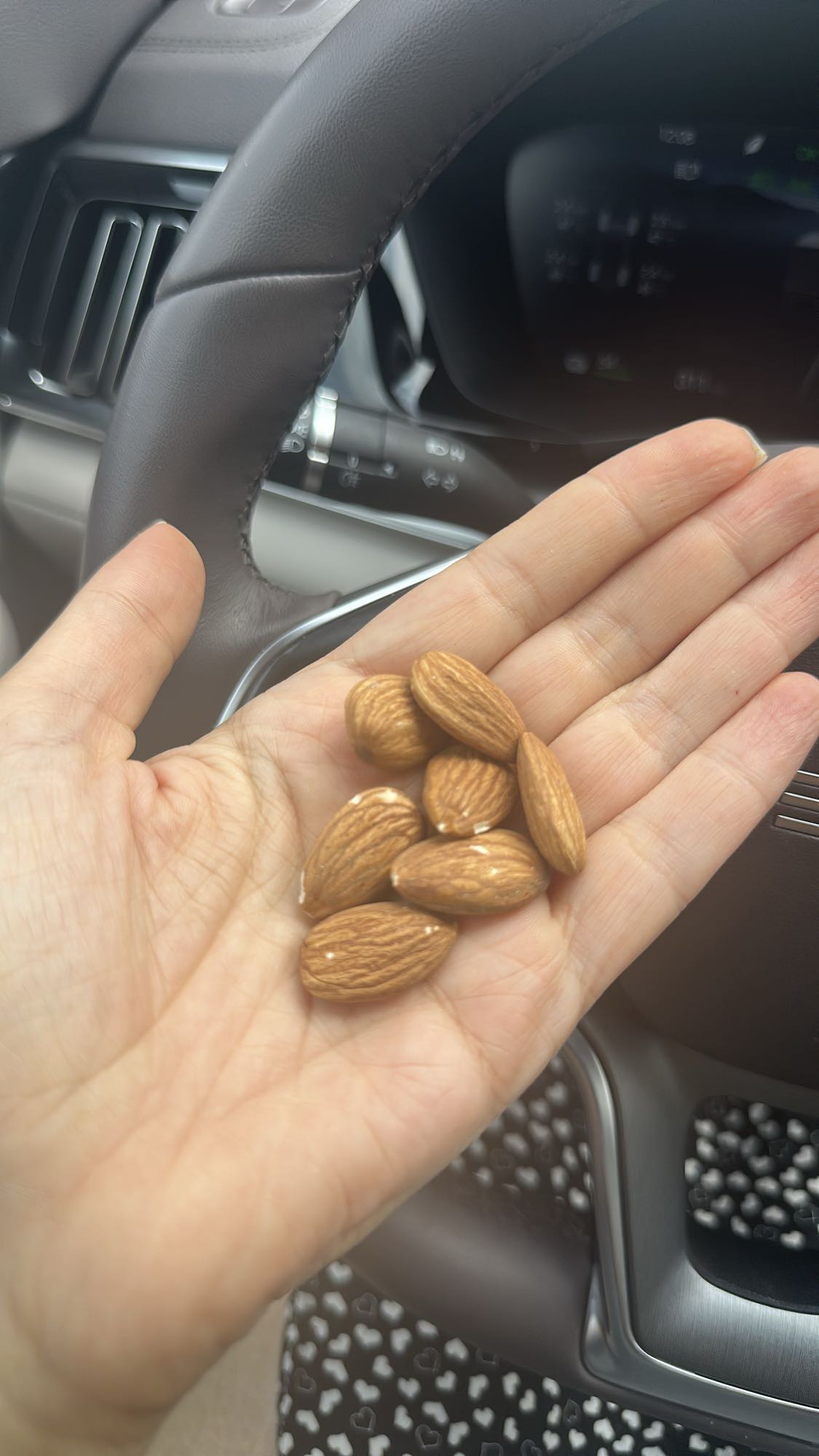Handful of Almonds