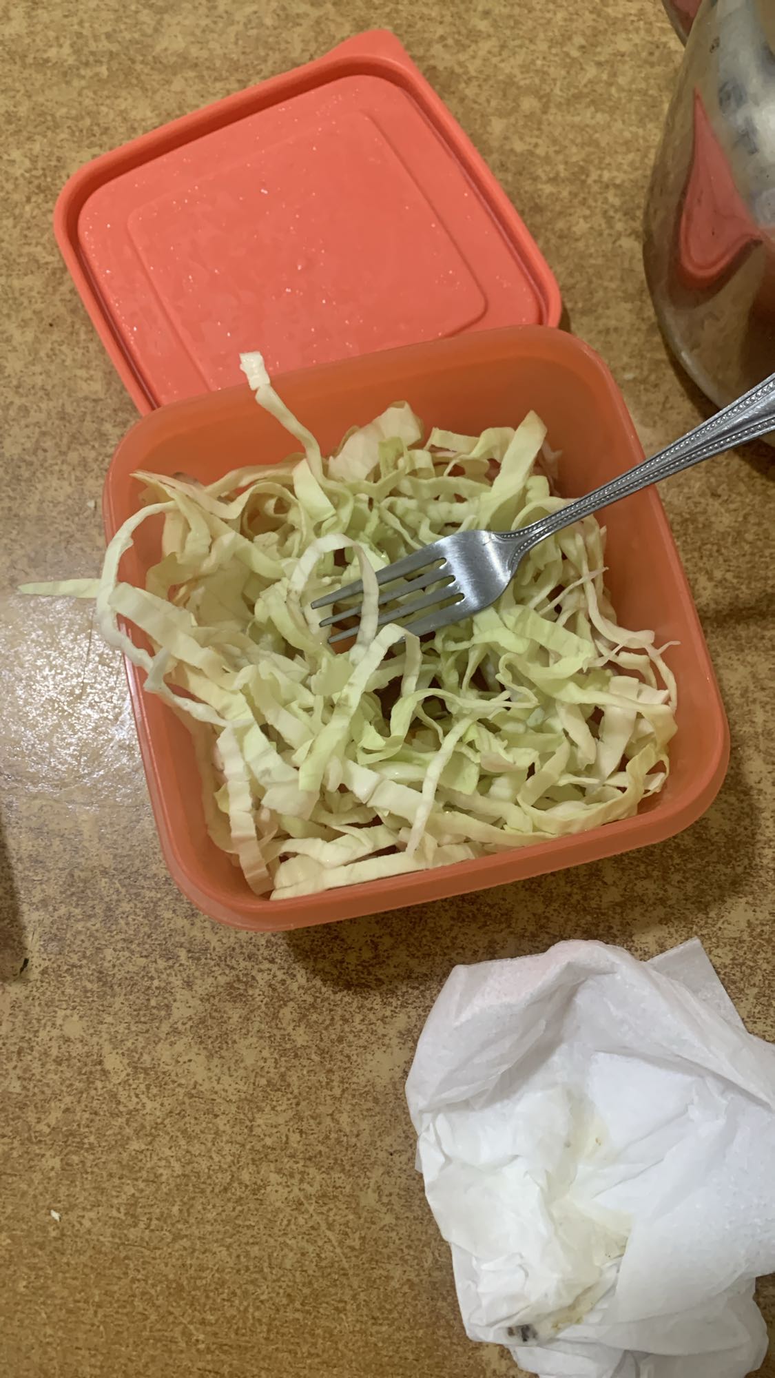 Shredded Cabbage Salad