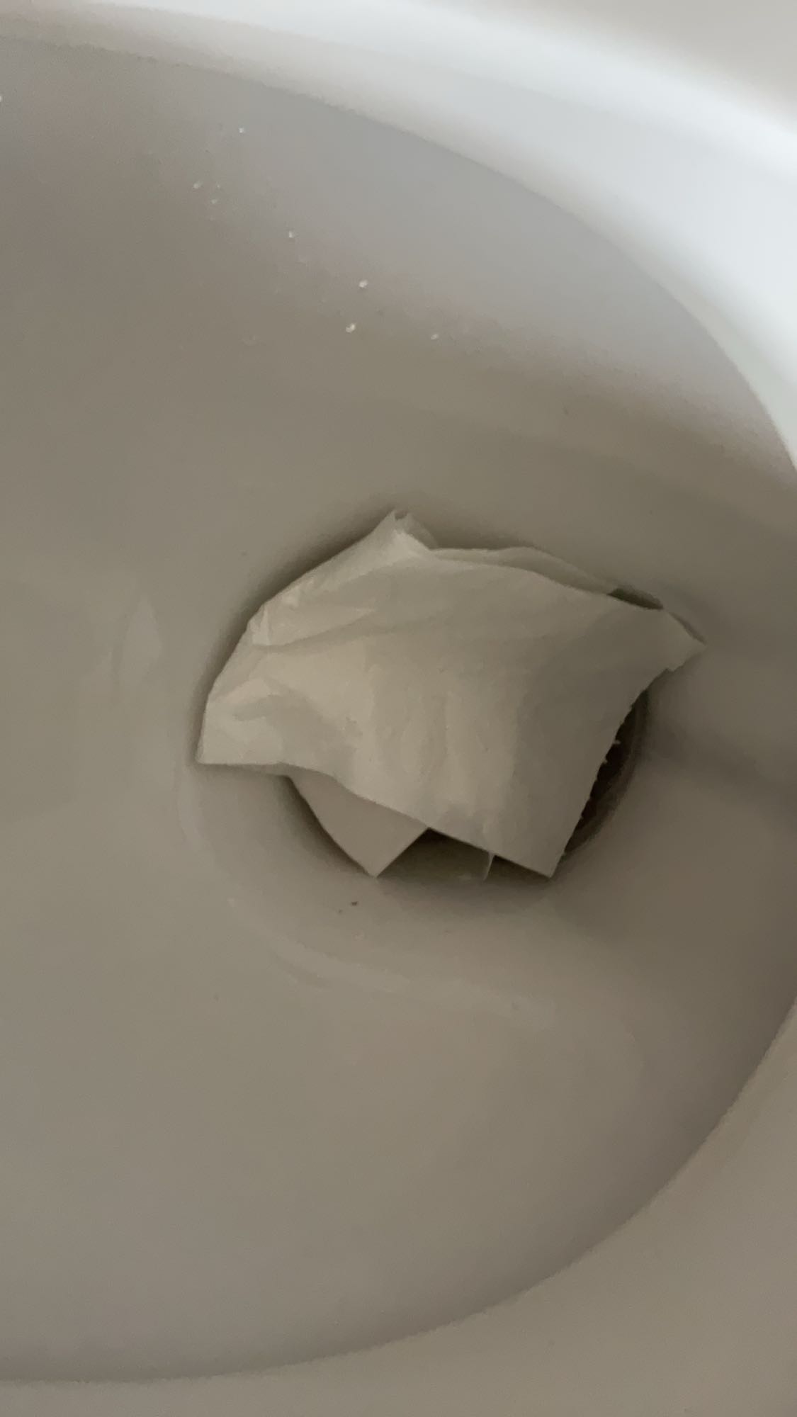 Erdnüsse