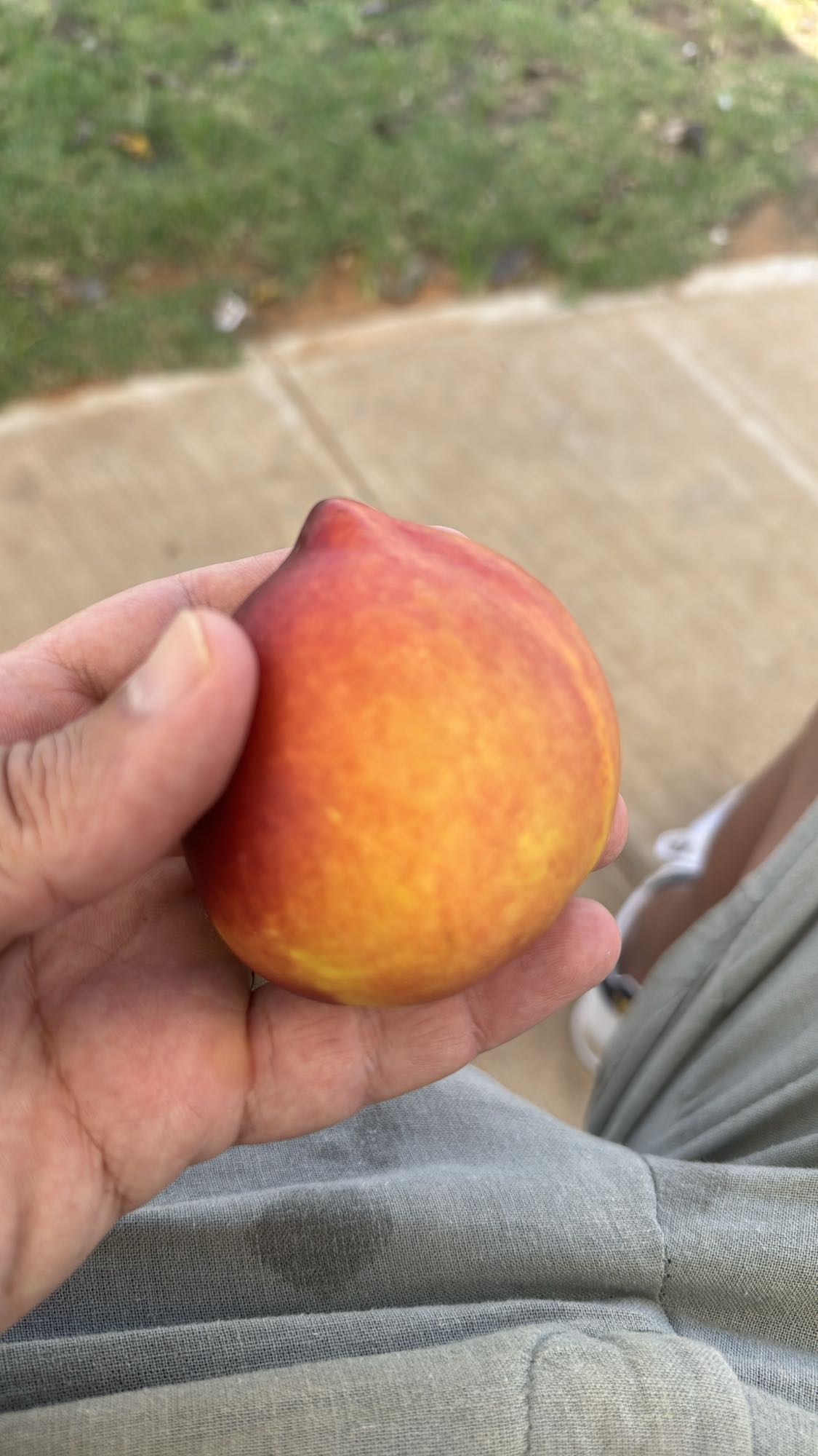 Fresh Peach Snack