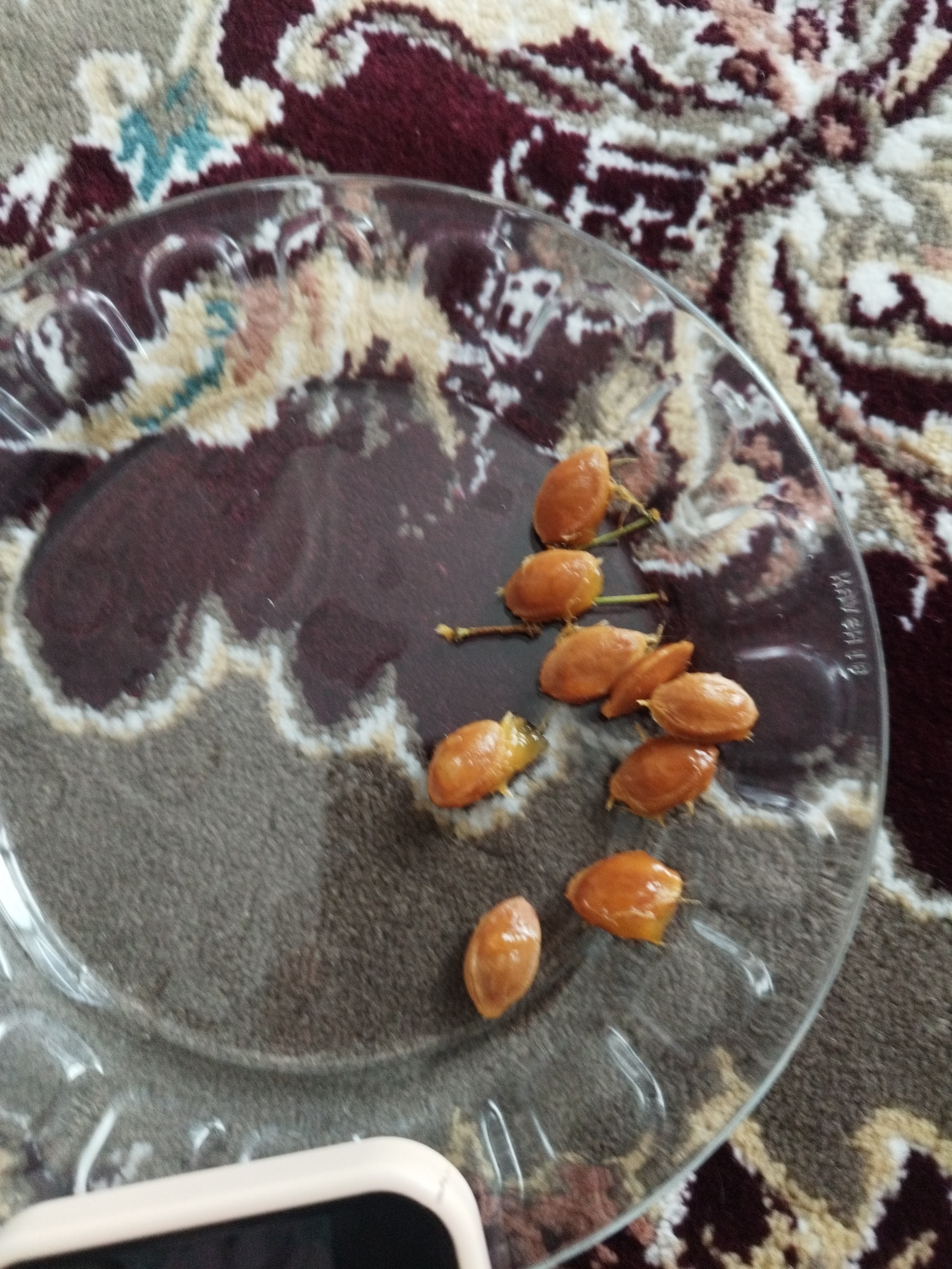 Date seeds