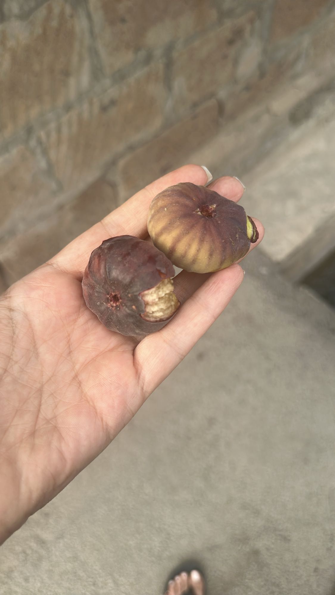 Fresh figs snack
