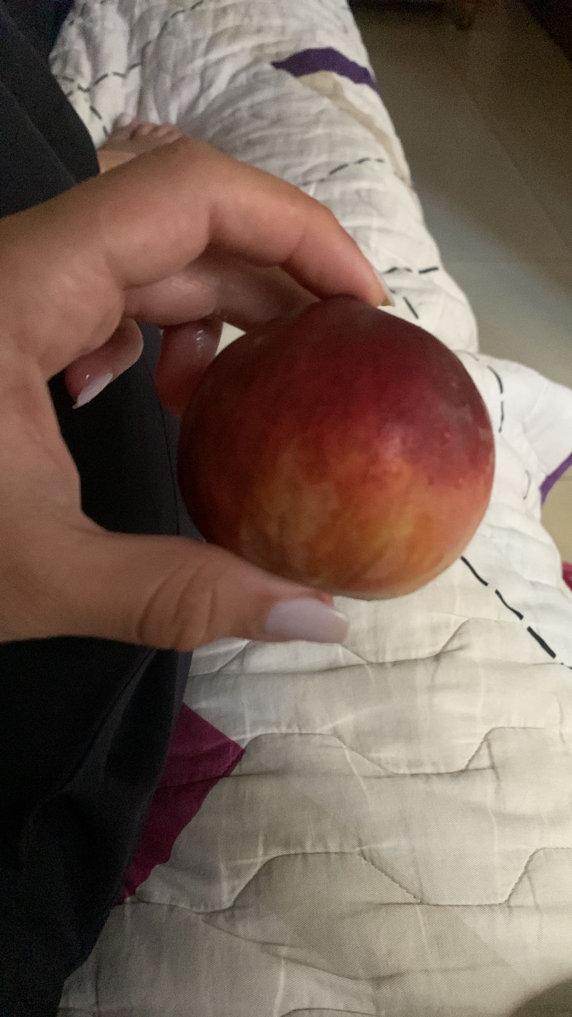 Fresh Nectarine