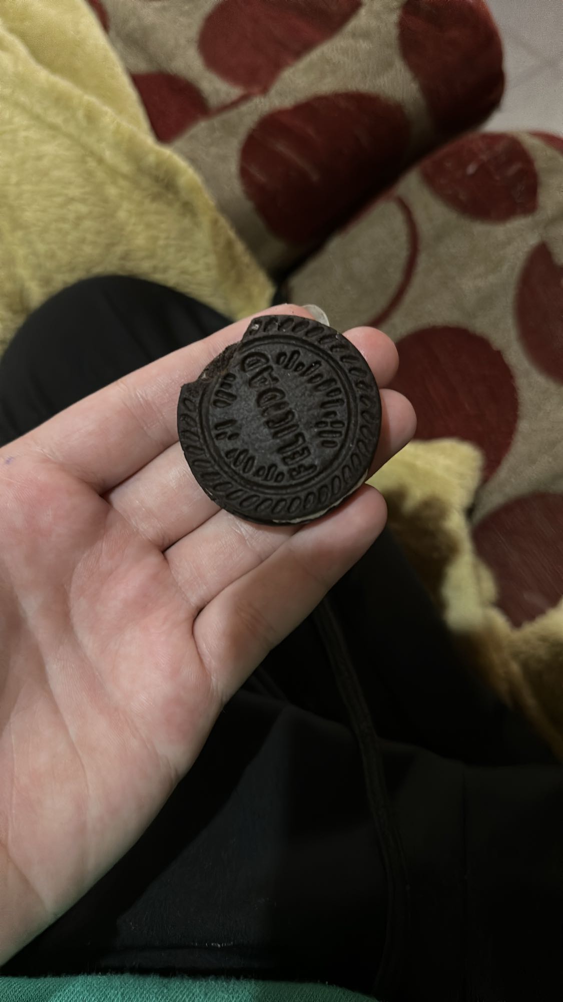 galleta de chocolate