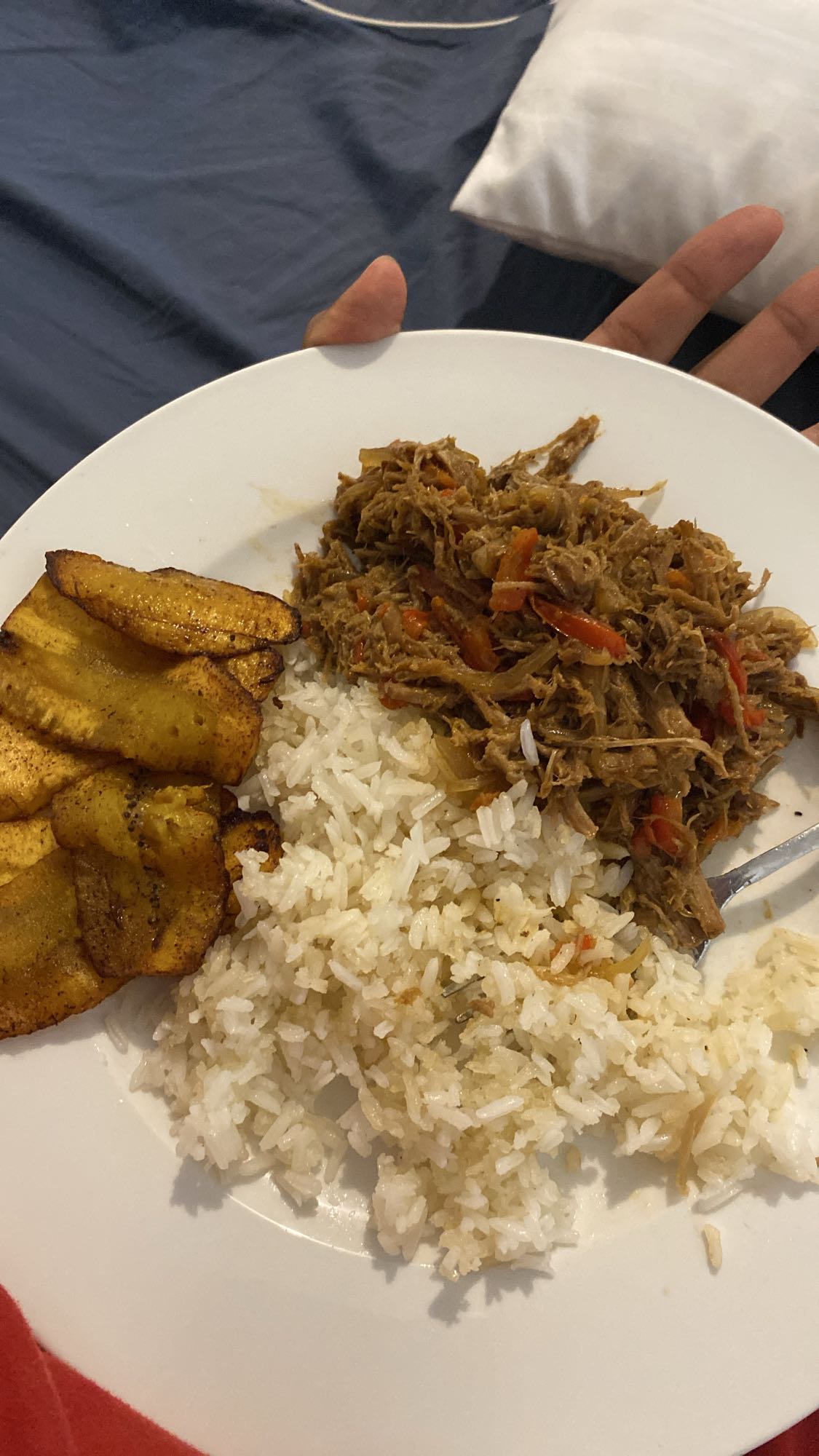 carne mechada, arroz y plátano