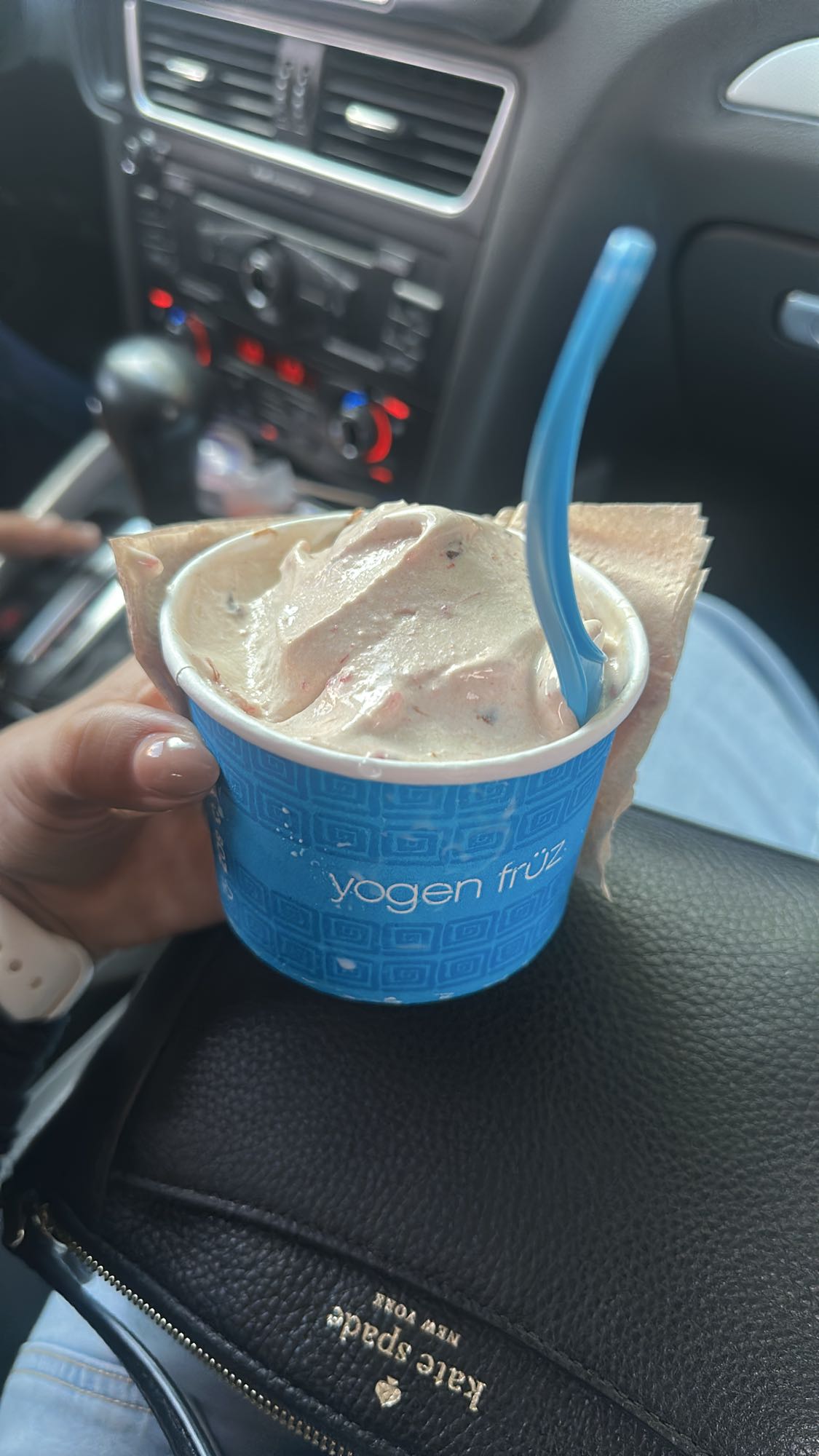 yogur helado con frutas