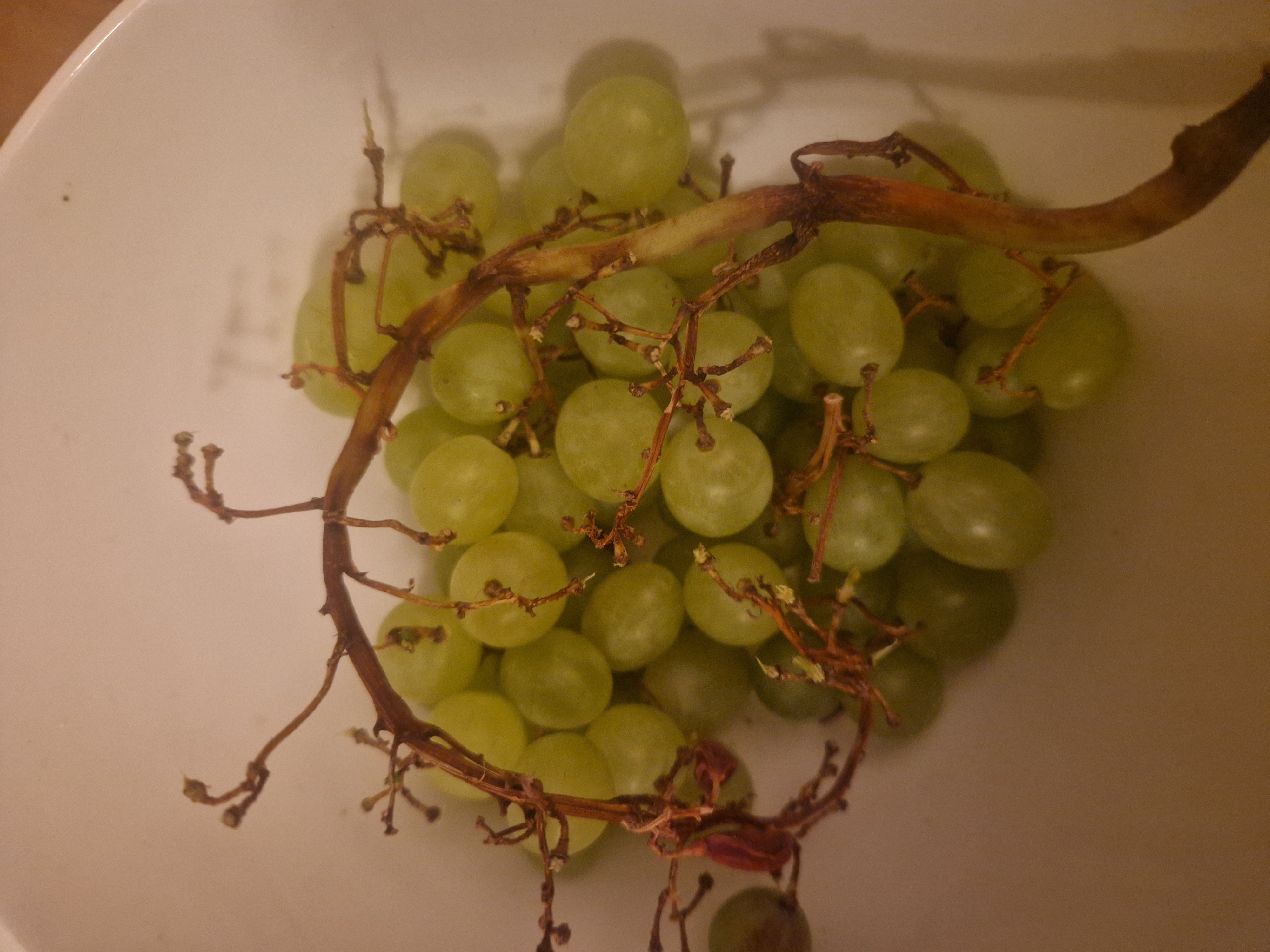 Groene druiven snack