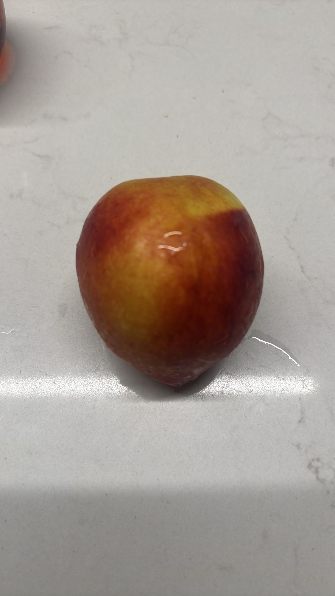 Fresh Nectarine