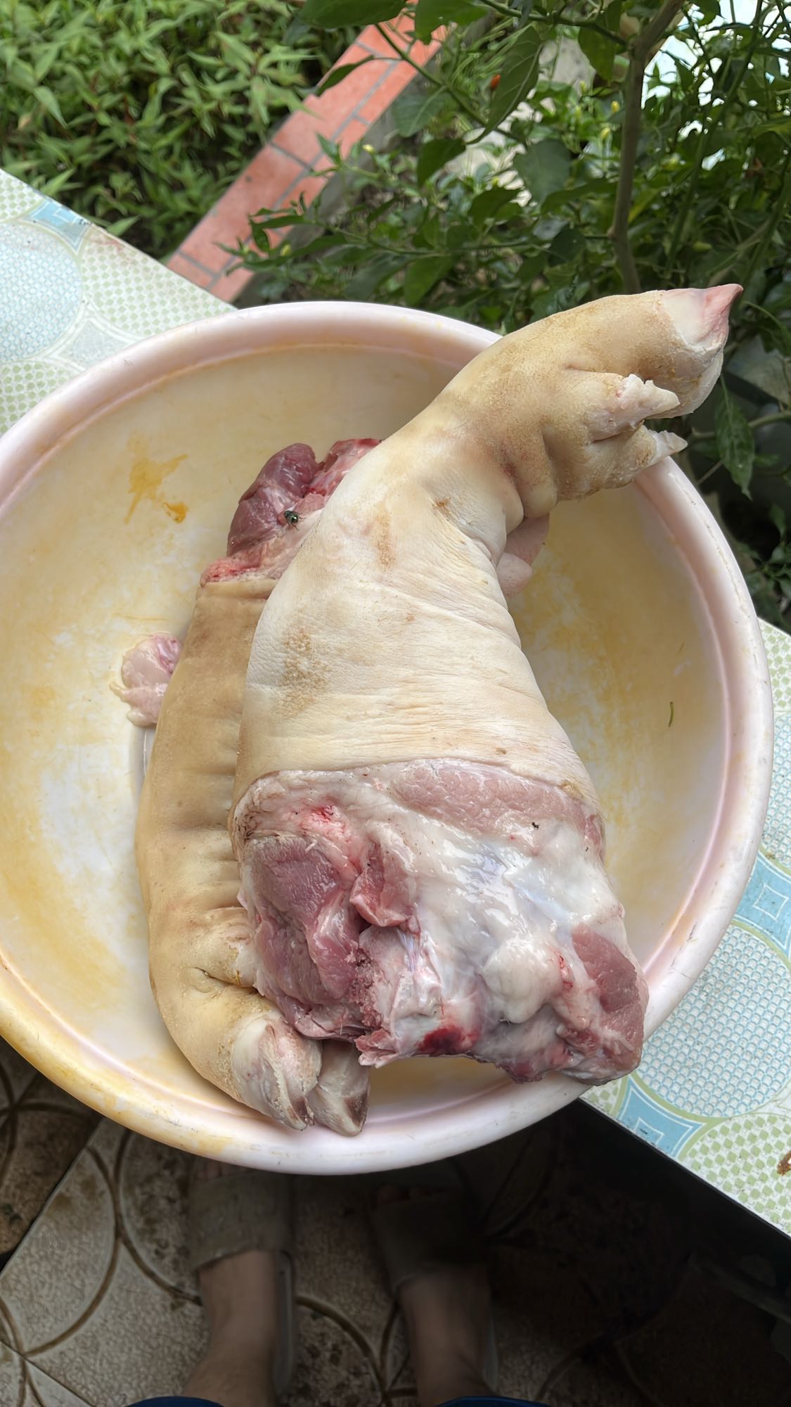 Chân giò heo tươi