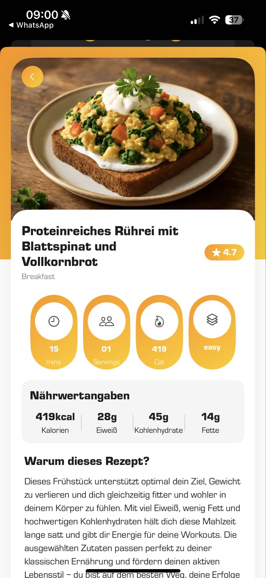 Rührei mit Spinat & Brot