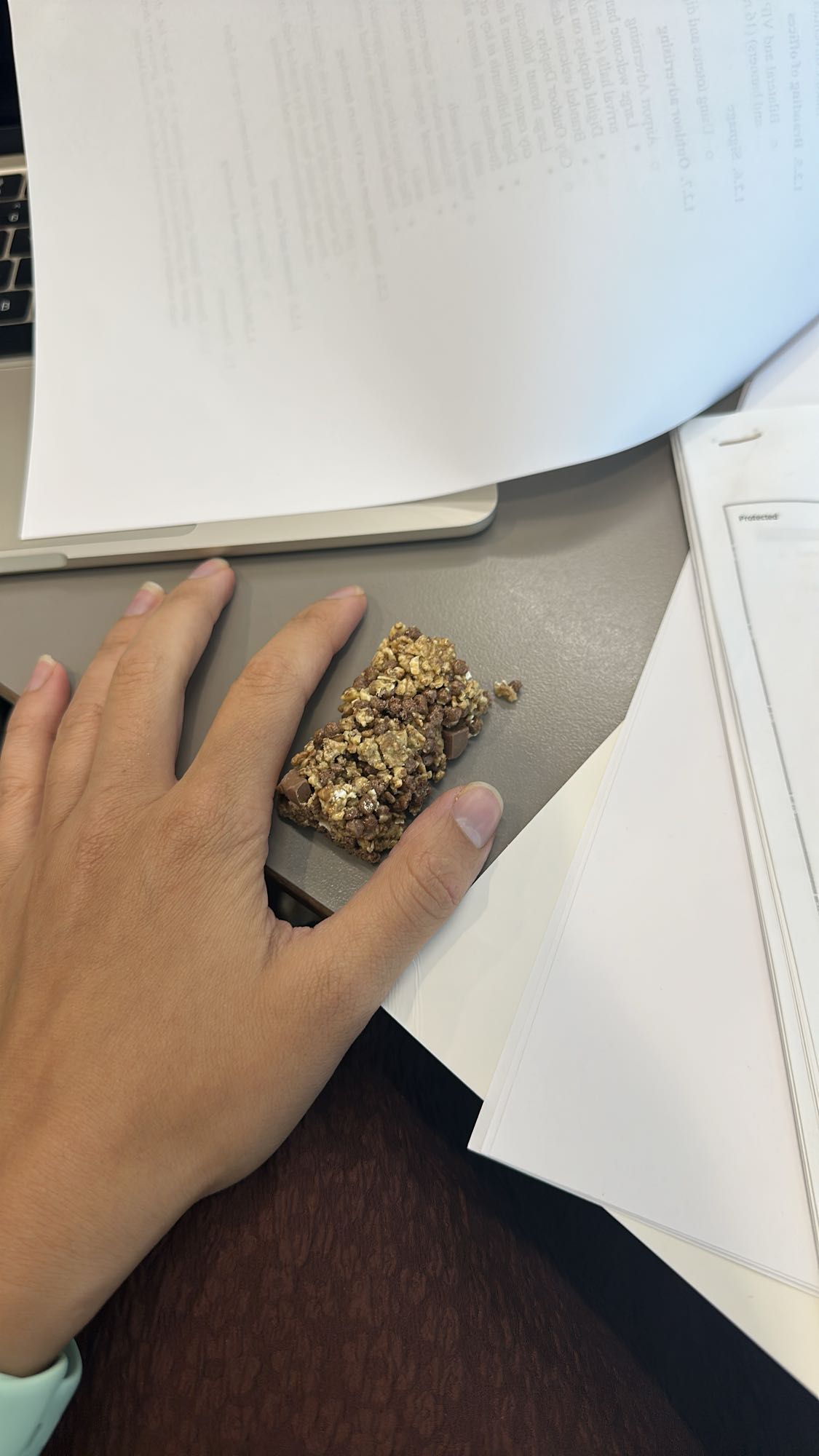 Chocolate granola bar