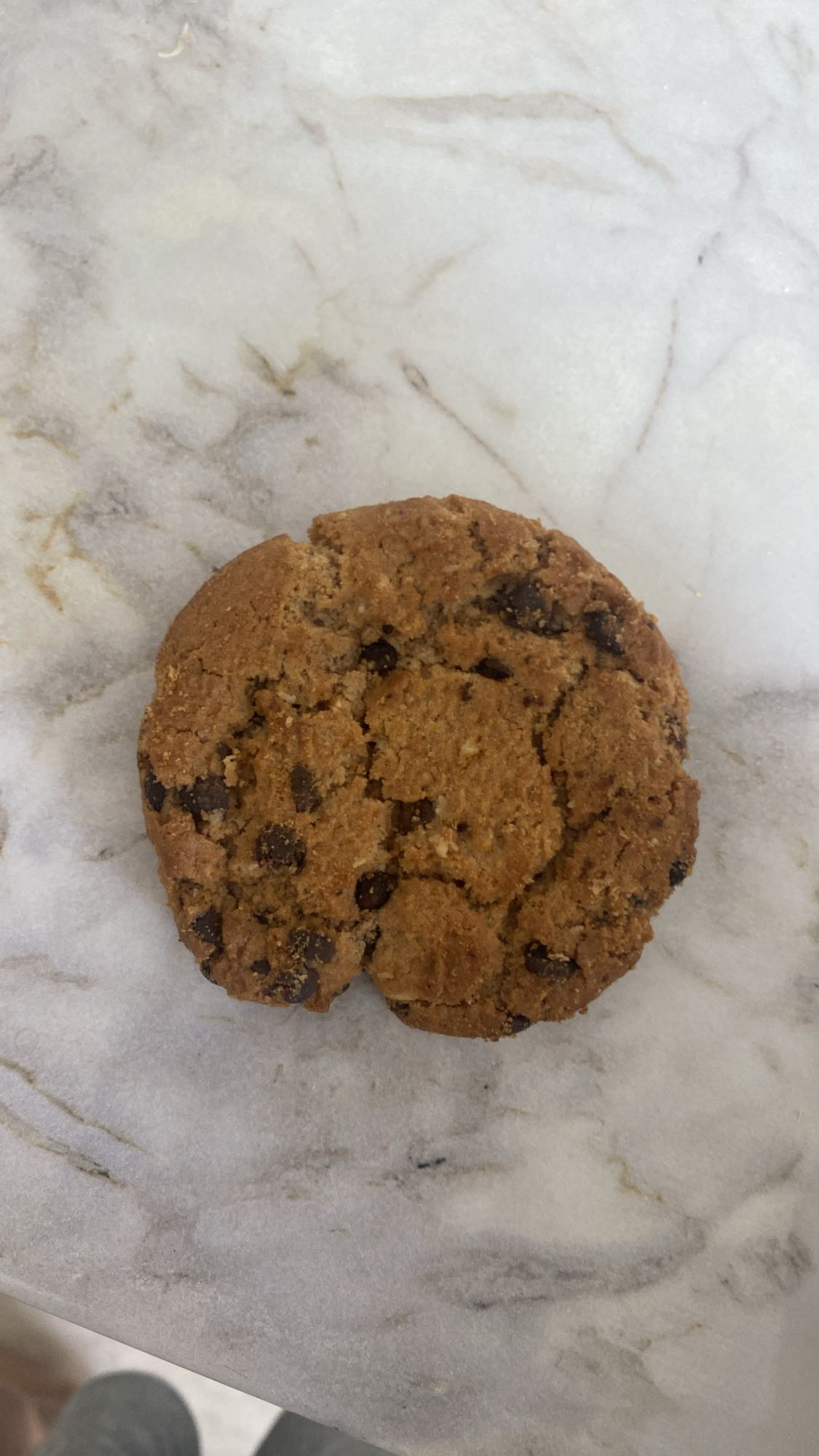 шоколадное печенье