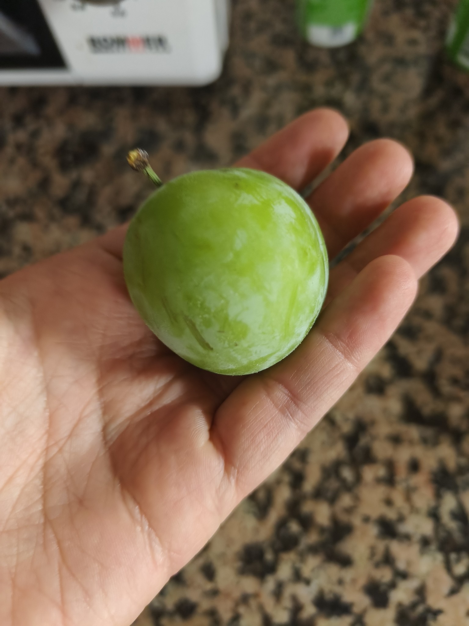 ciruela verde fresca