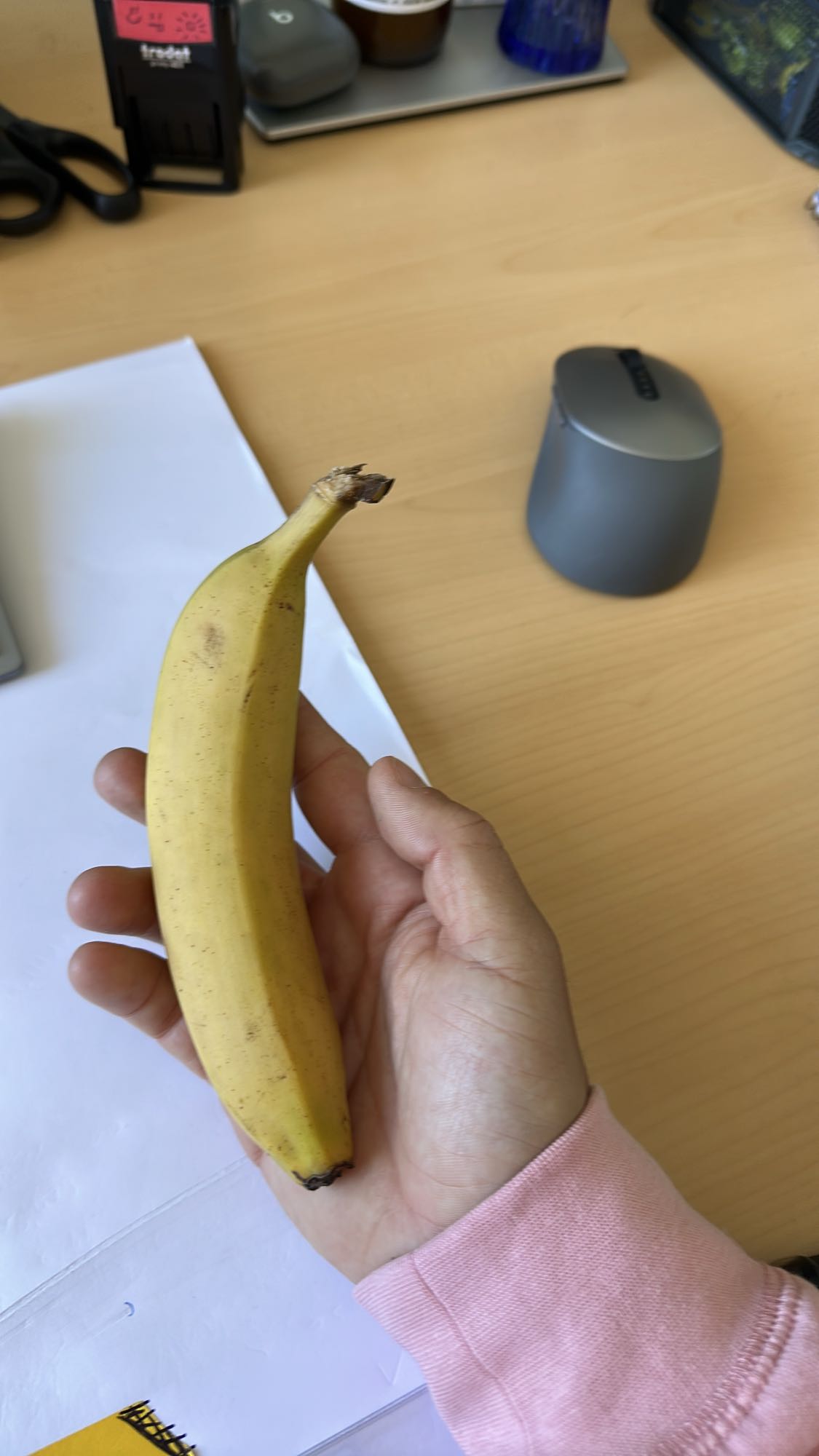 Banaan