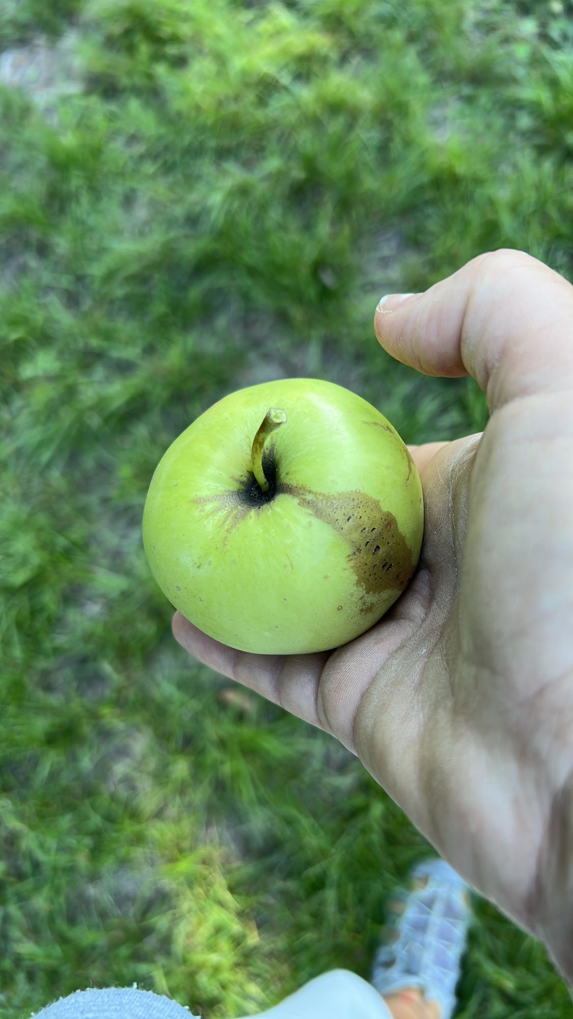 Măr verde proaspăt