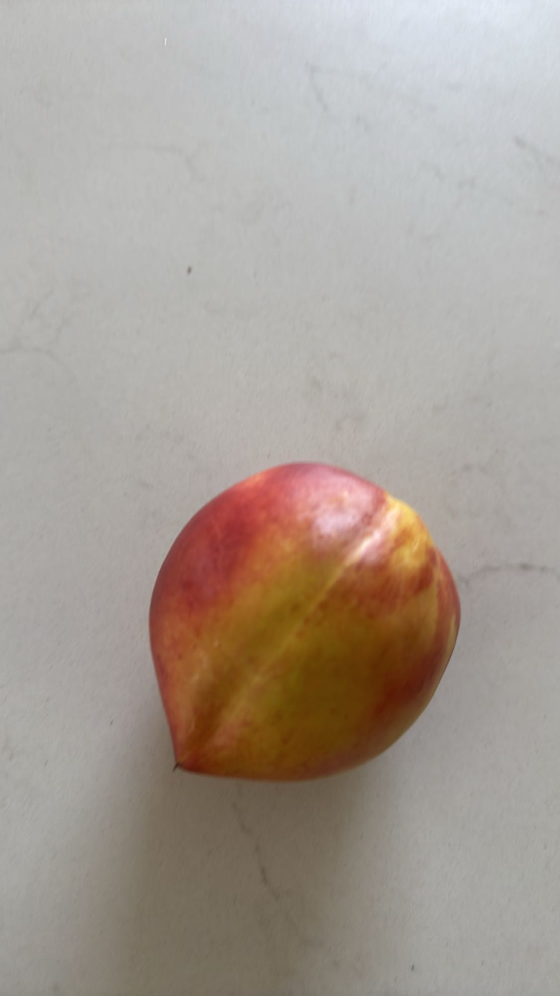 Fresh Nectarine