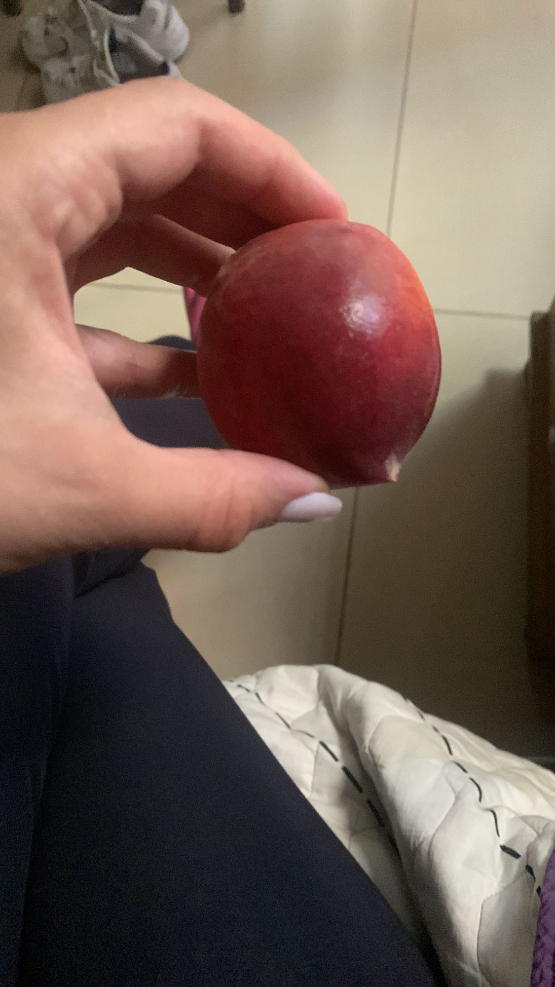 Whole plum snack