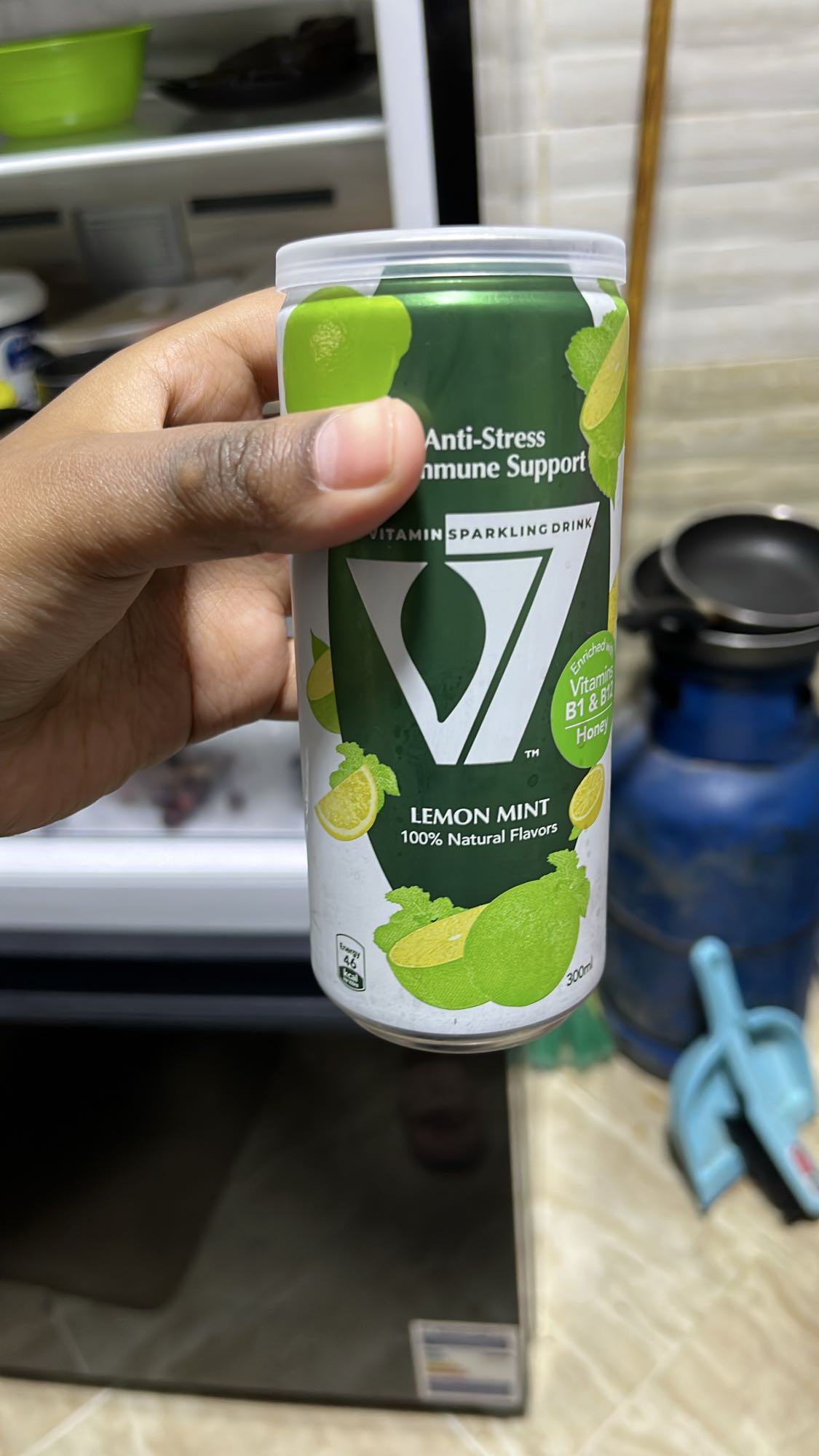 Lemon Mint Sparkling Drink