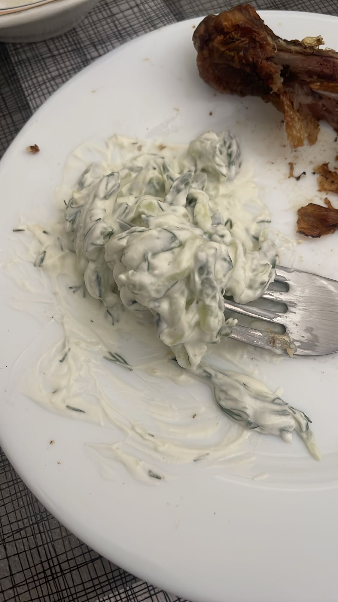 Yogurt cucumber salad & lamb