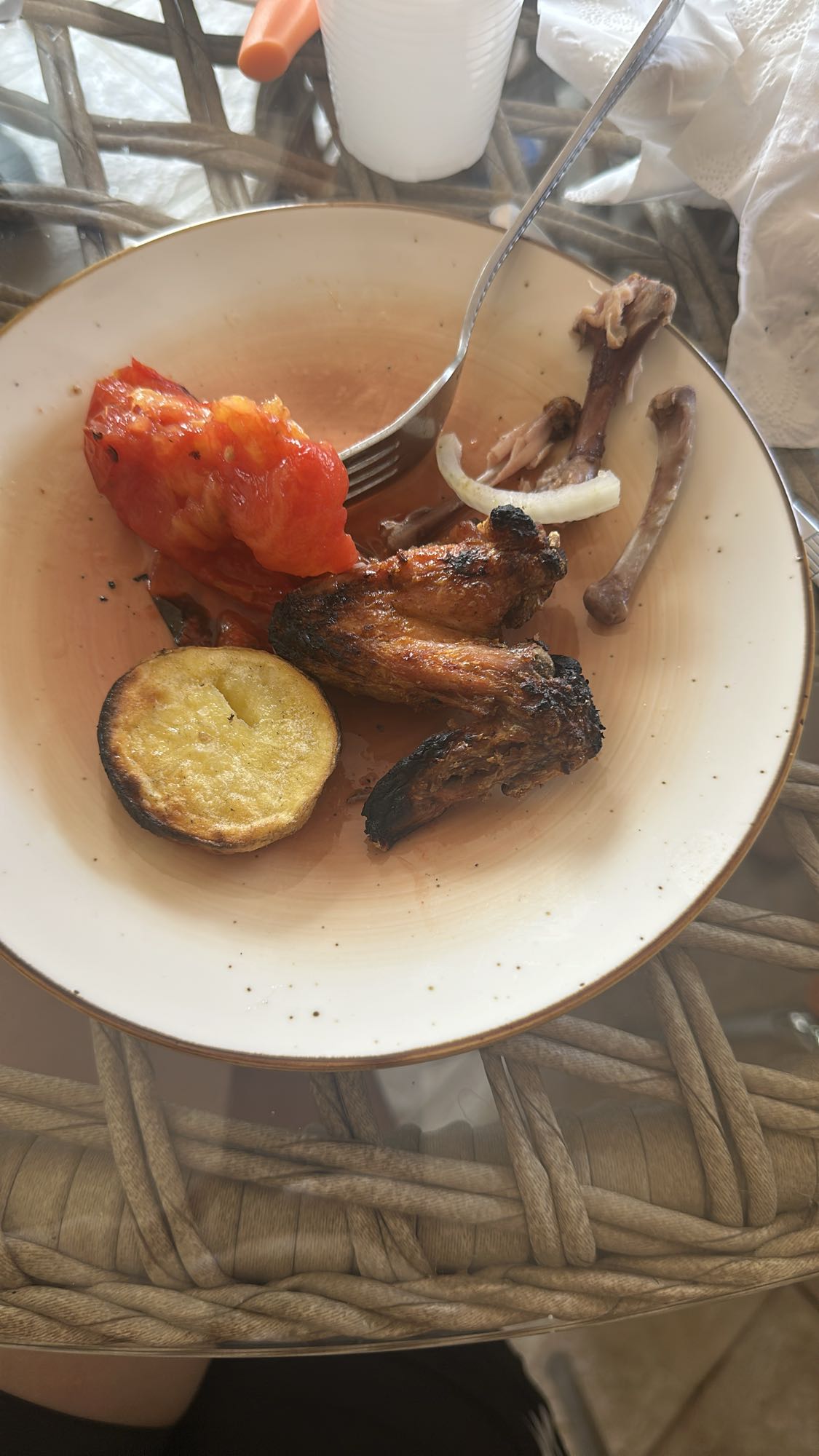 Grilled chicken & veggies