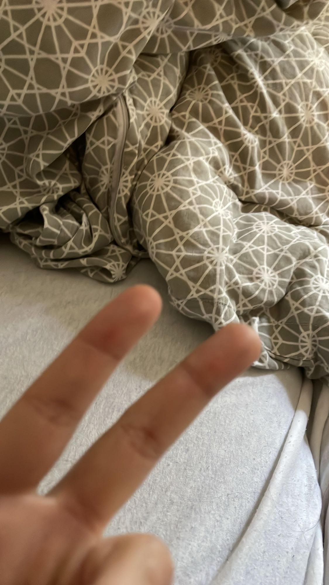 Mięso z kaczki z makaronem konjac, cukinią i cebulą