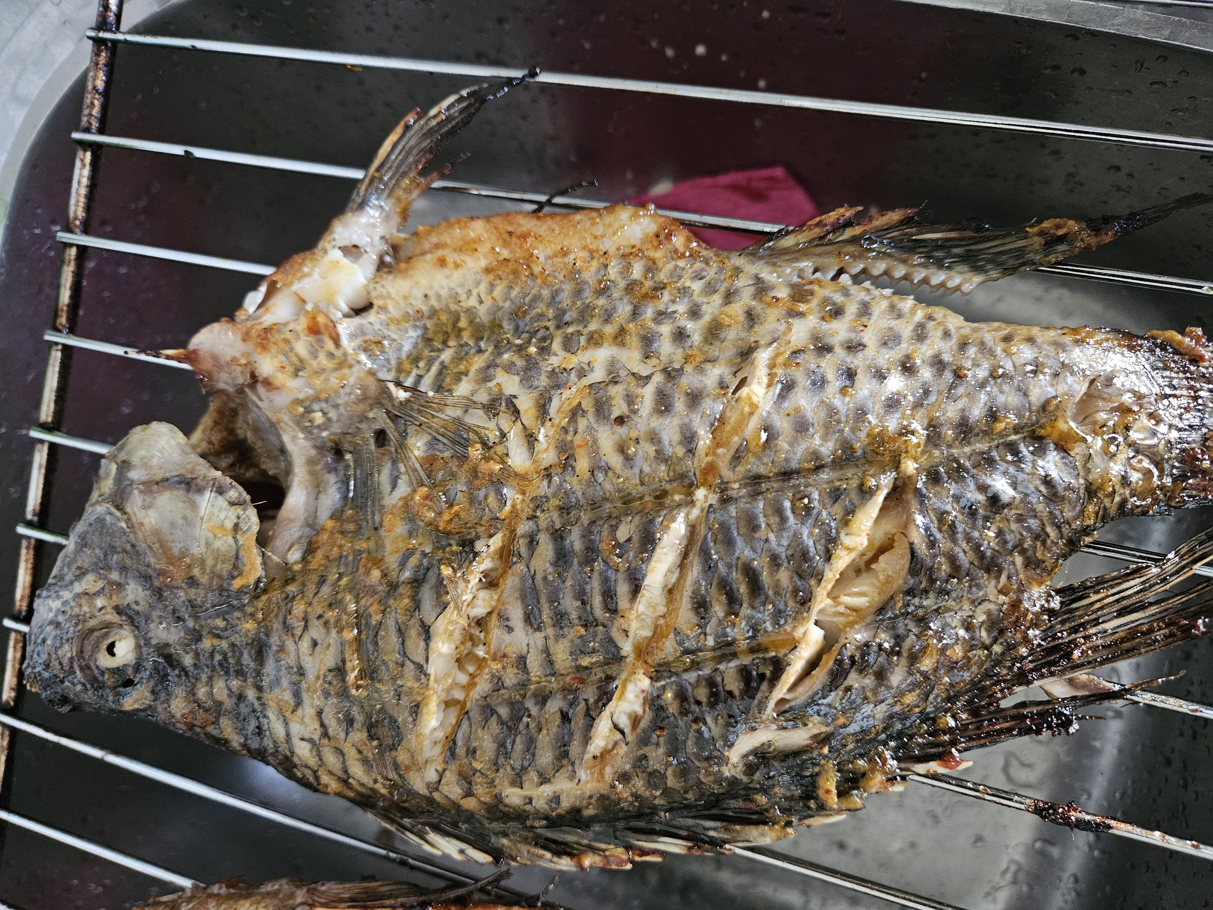 Grilled Tilapia Fish
